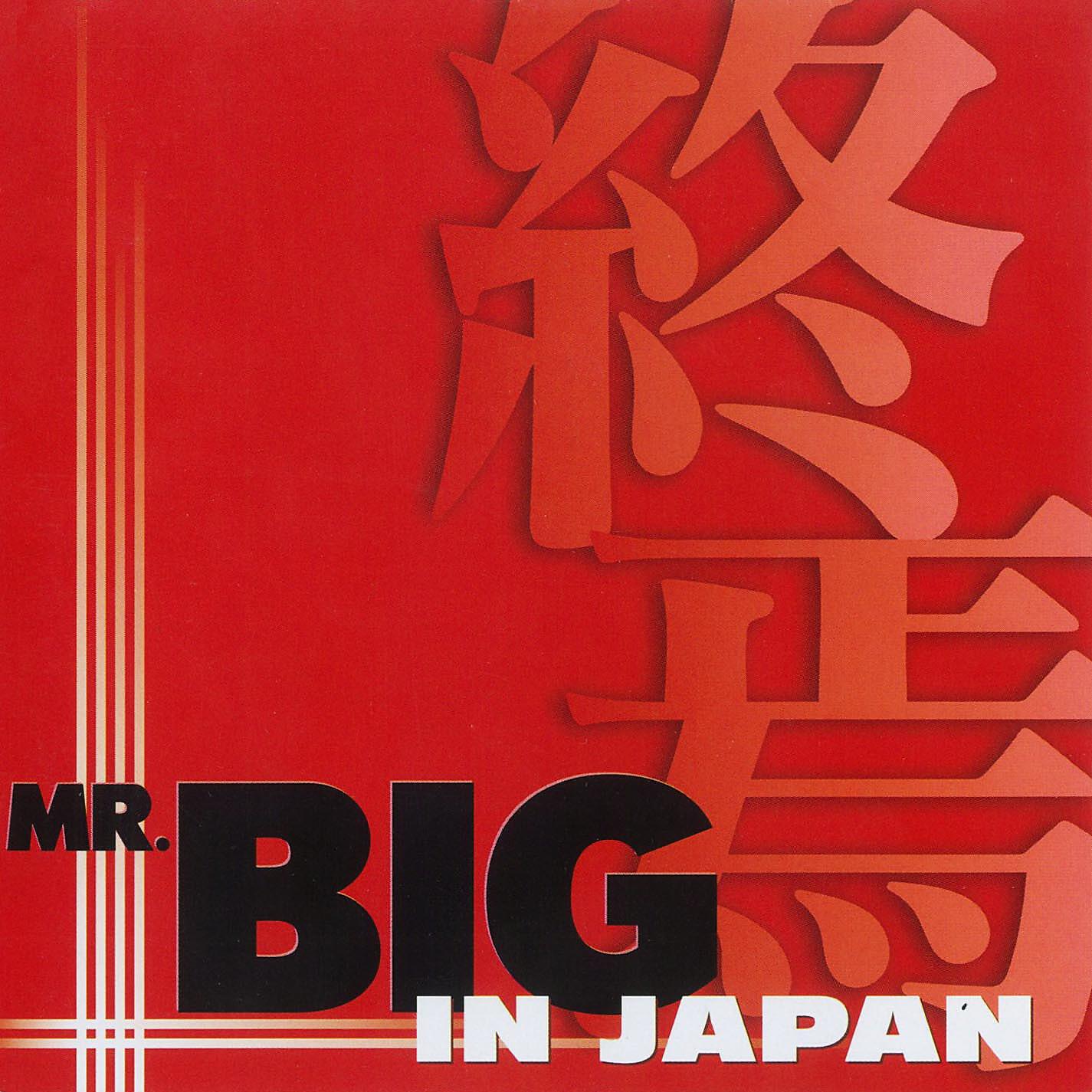 Mr. Big - Blame It on My Youth (Live in Tokyo, Japan, February 5, 2002)