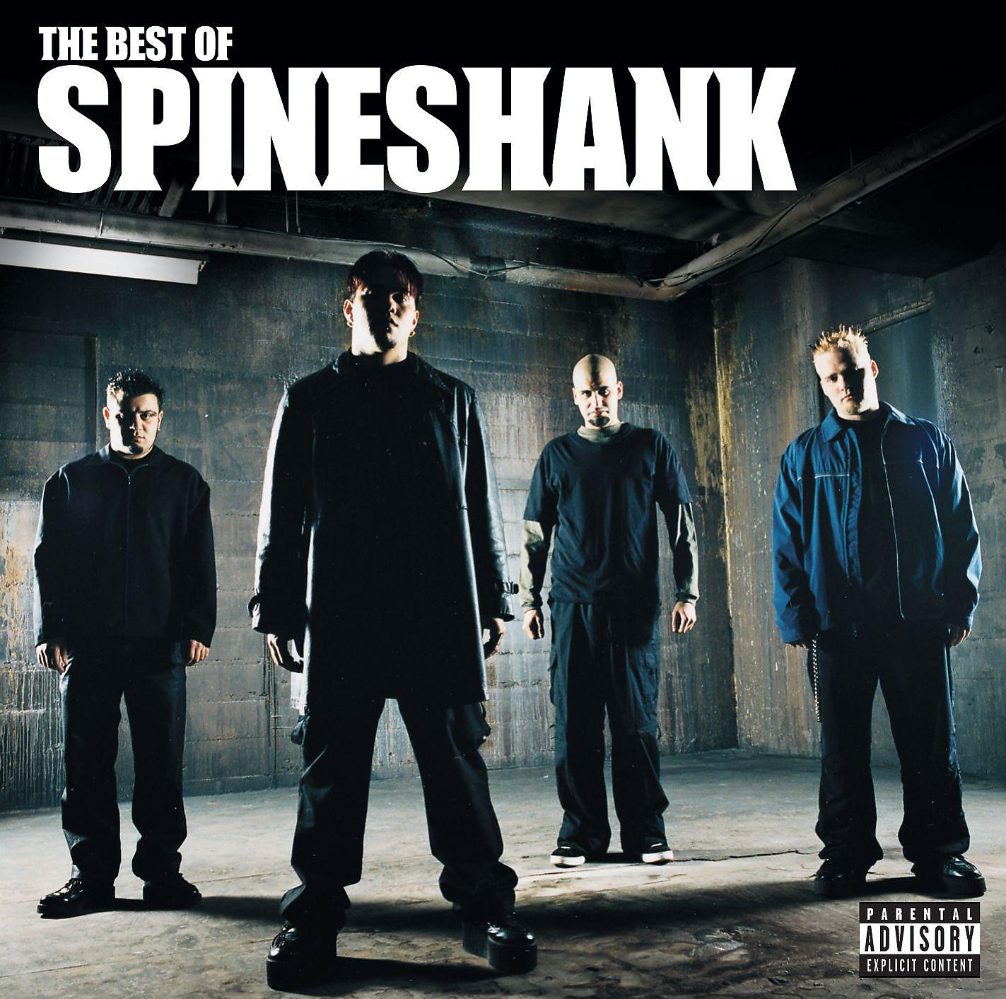 Постер альбома The Best Of Spineshank