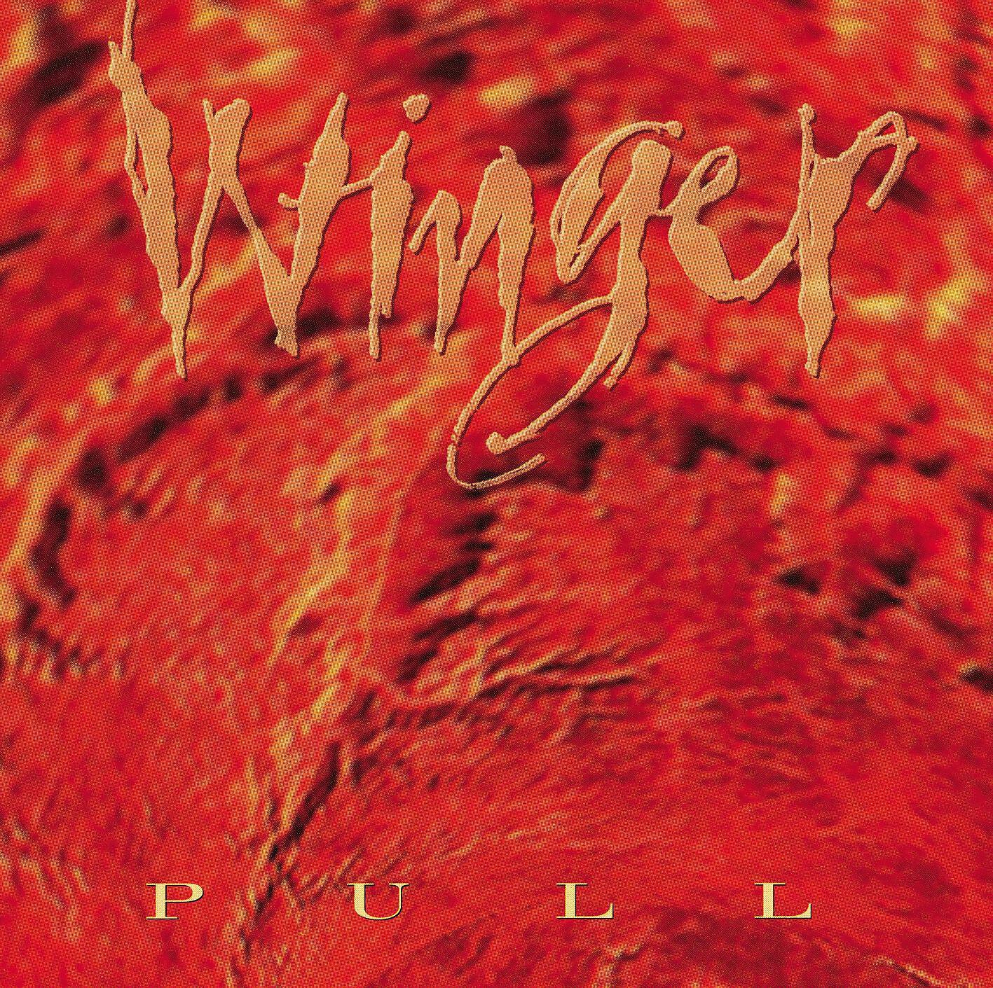 Winger - Down Incognito