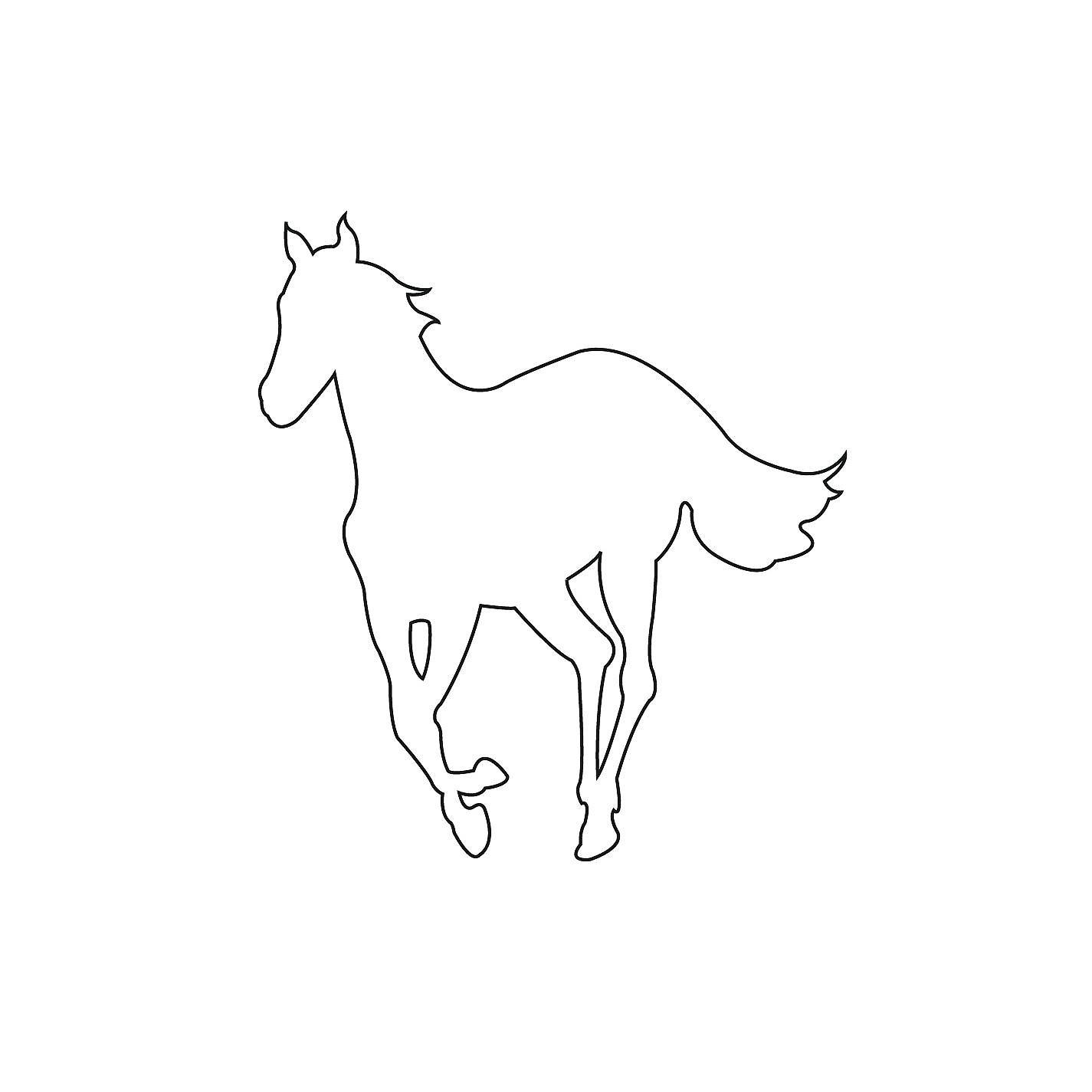 Постер альбома White Pony