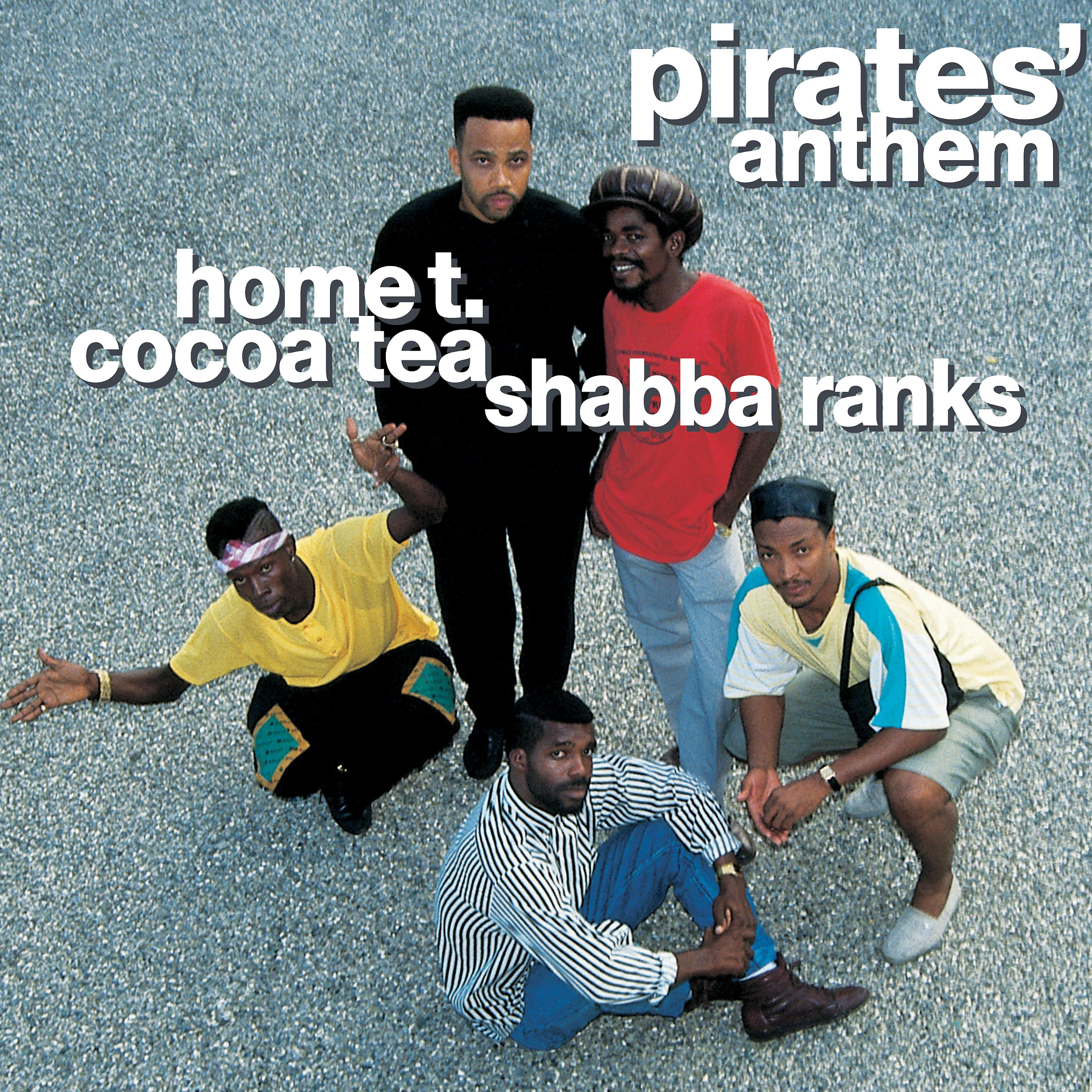 Постер альбома Pirates' Anthem (Holding On)