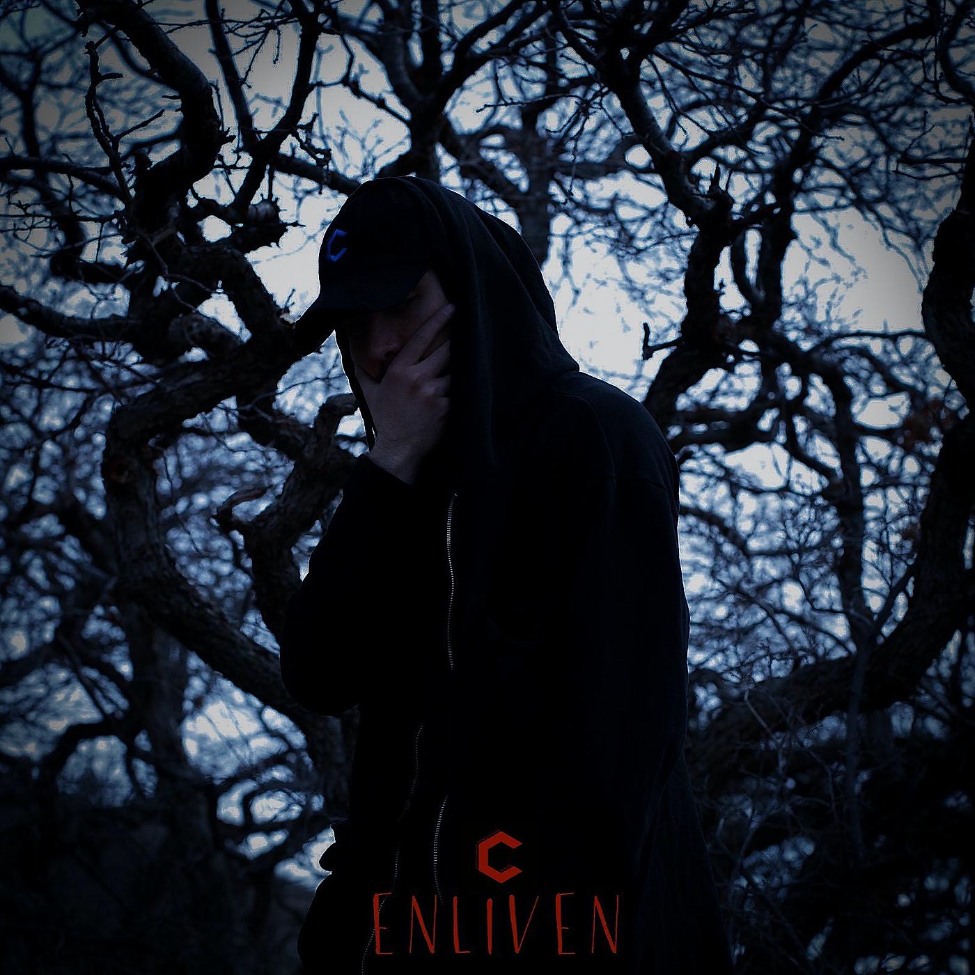 Постер альбома Enliven