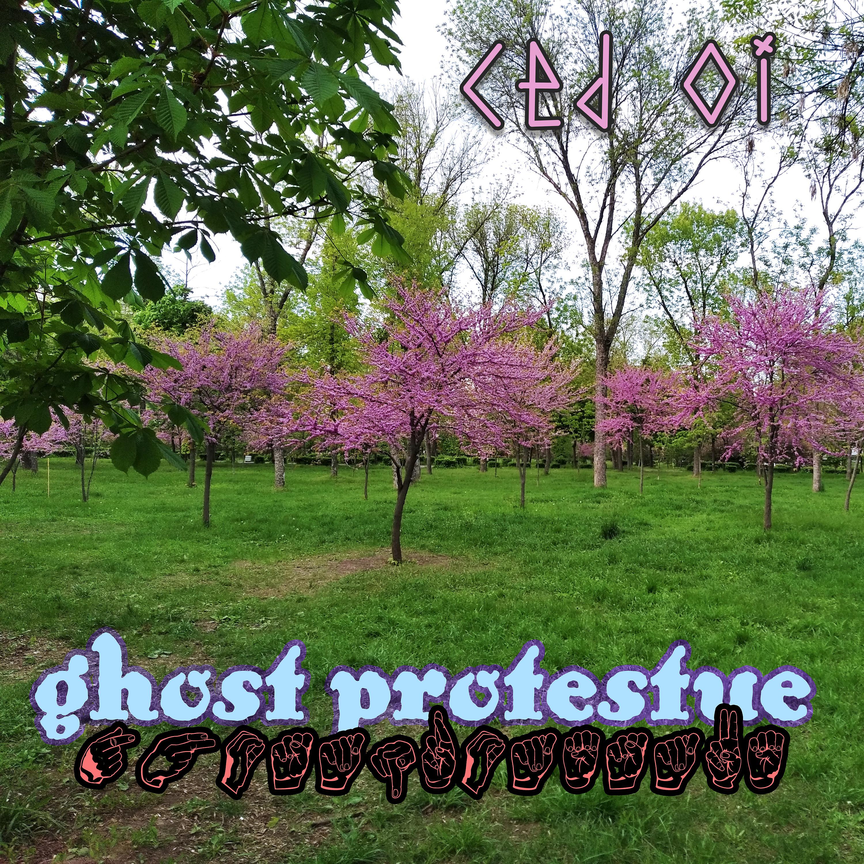 Постер альбома Ghost Protestue