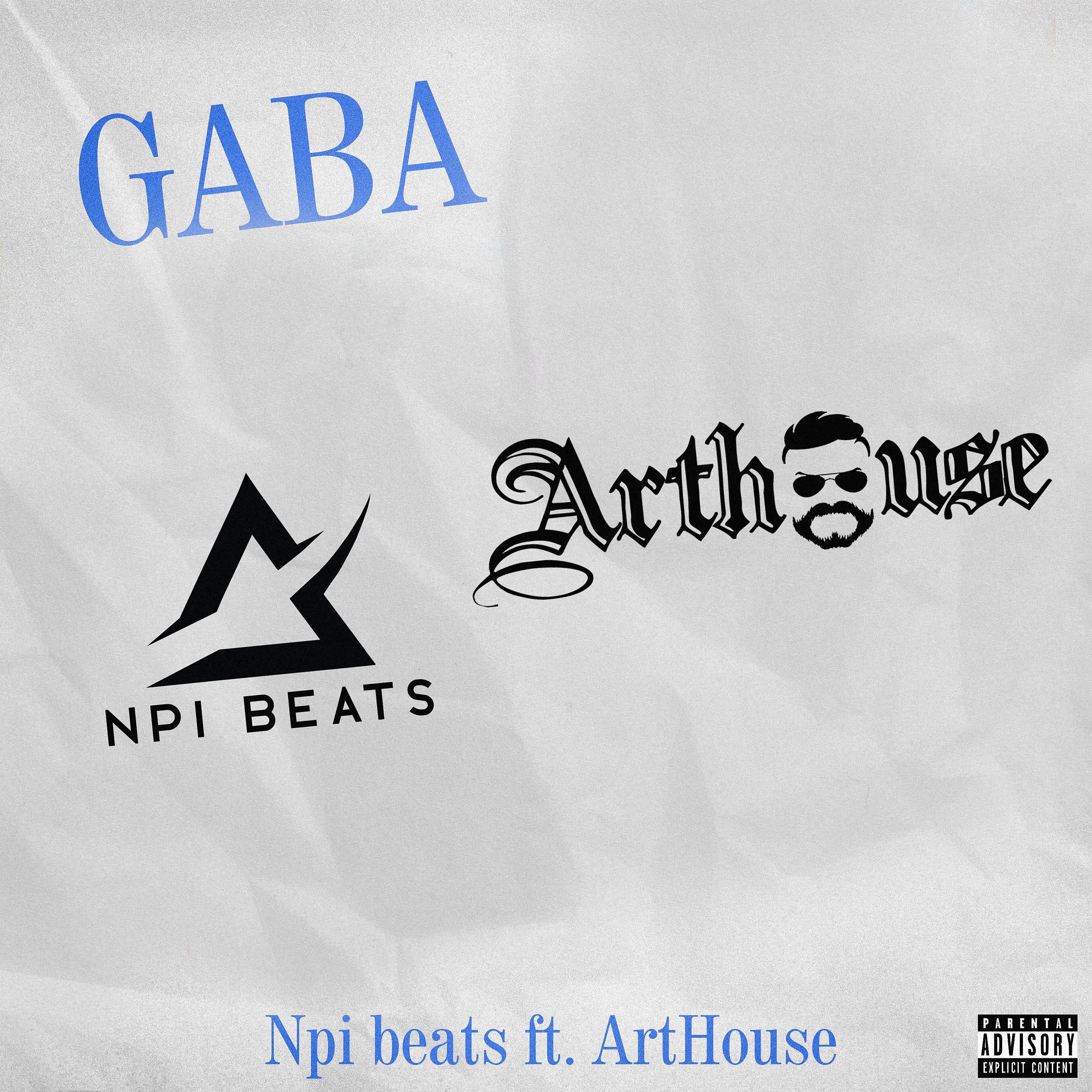 Постер альбома Gaba (feat. Art House)