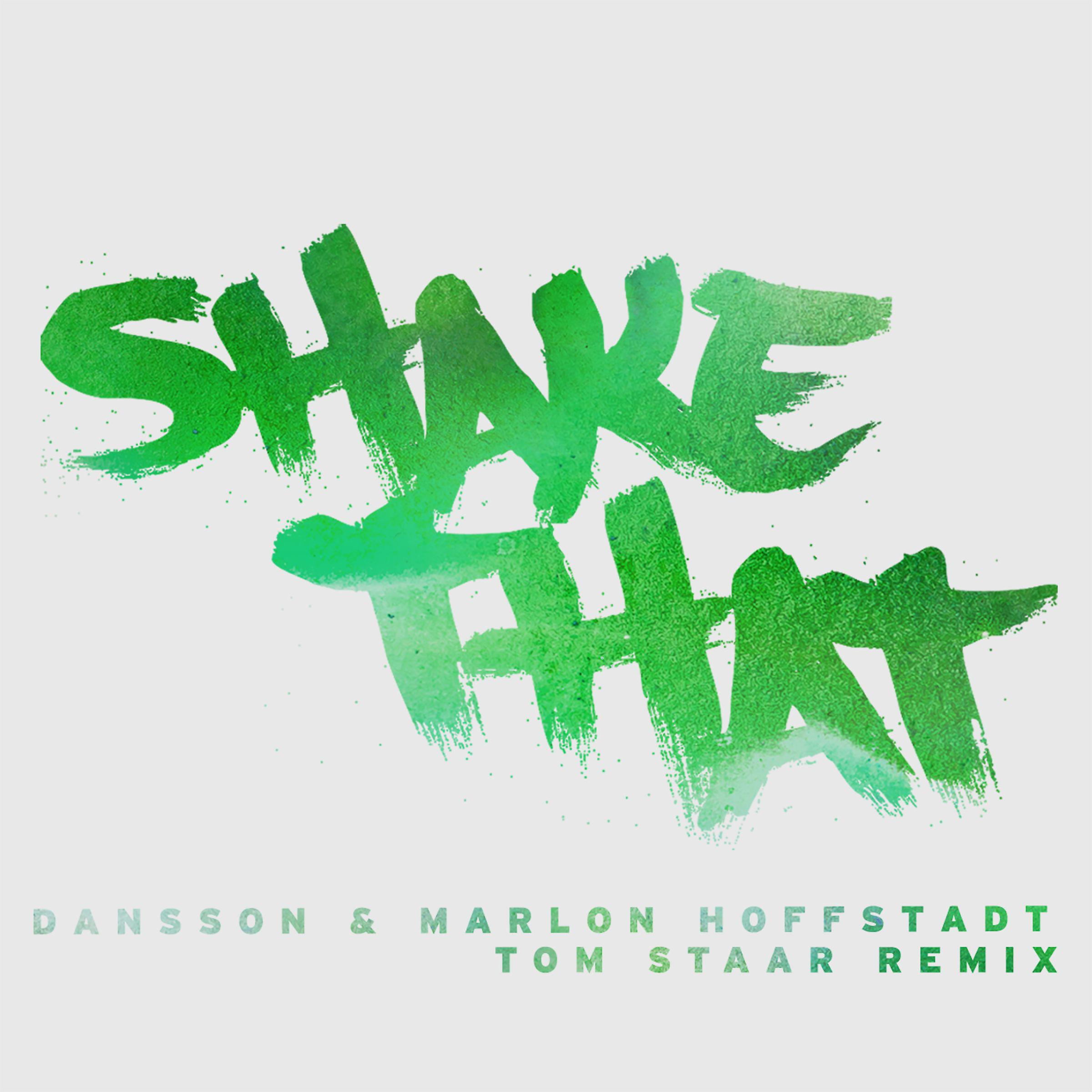 Постер альбома Shake That (Tom Staar Remix) [Radio Edit]