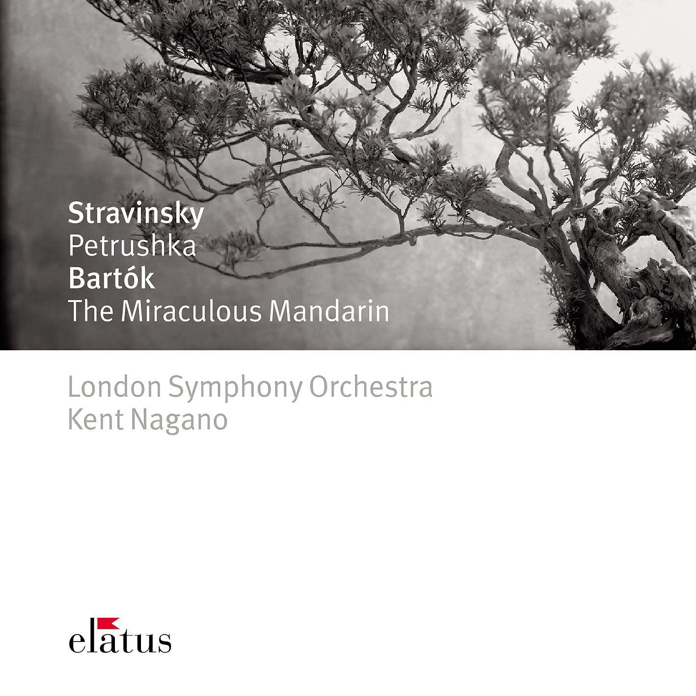 Постер альбома Stravinsky: Petrushka - Bartók : The Miraculous Mandarin