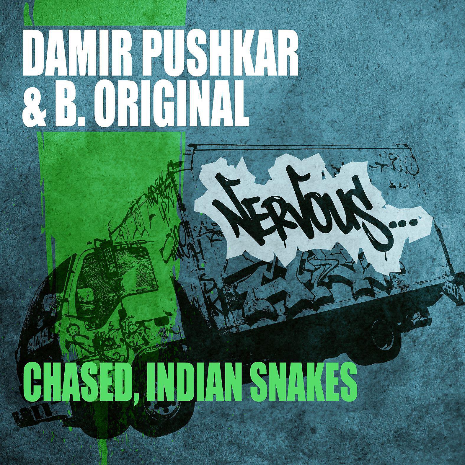 Damir Pushkar - Indian Snakes (Original Mix)