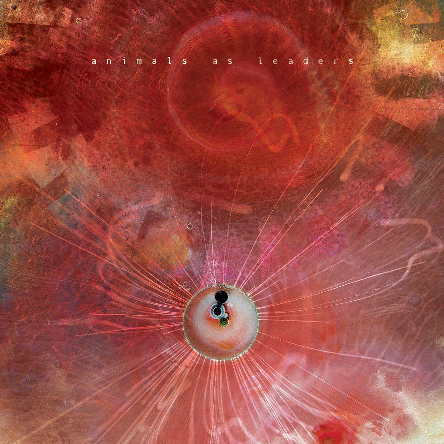 Animals as Leaders - Physical Education