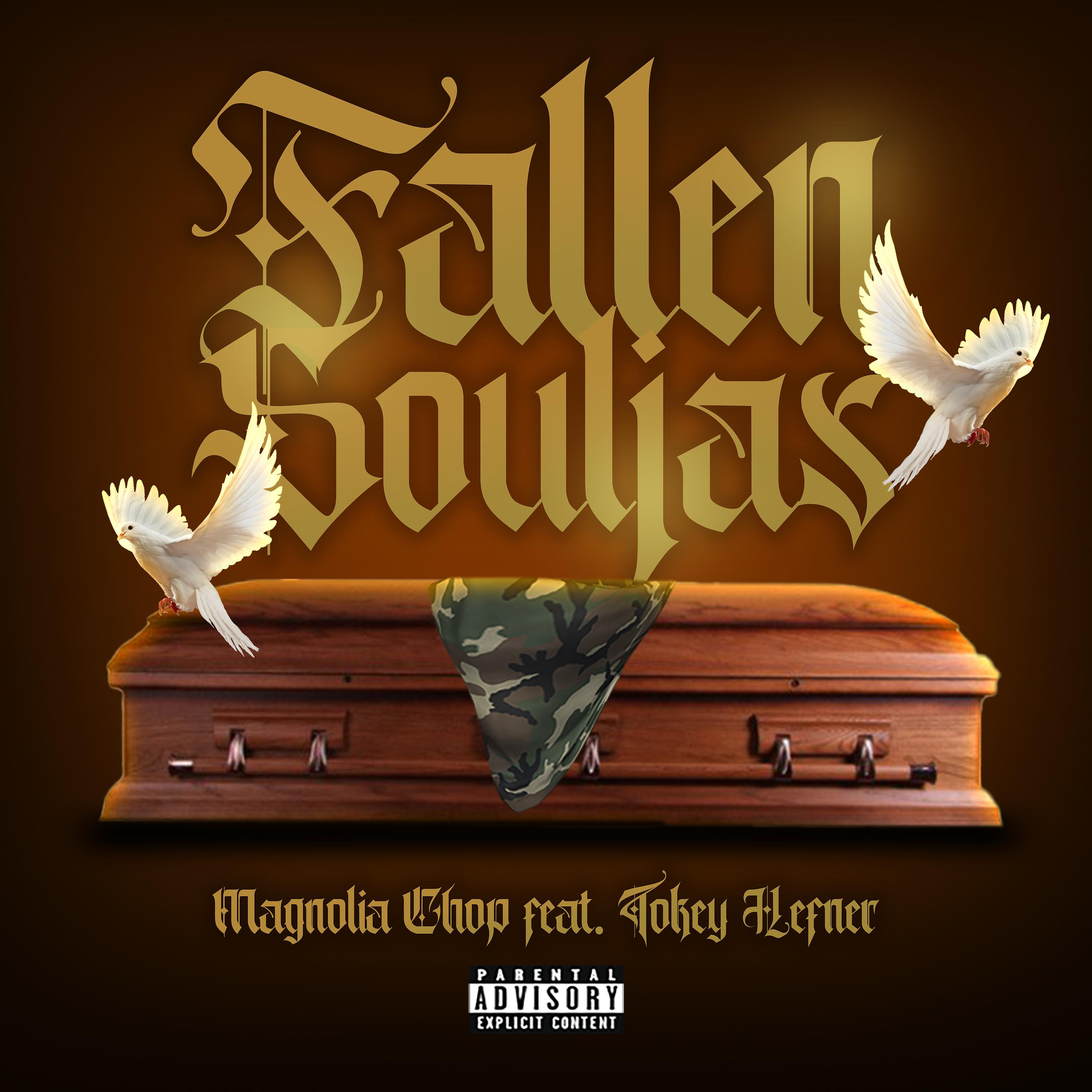 Постер альбома Fallen Souljas (feat. Tokey Hefner)