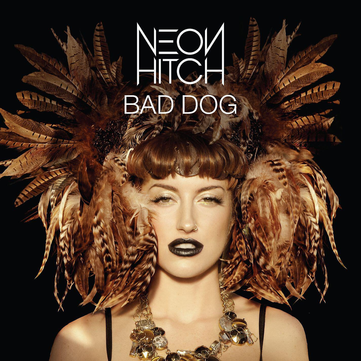 Neon Hitch - Bad Dog (Jason Nevins Remix) [Radio Edit]