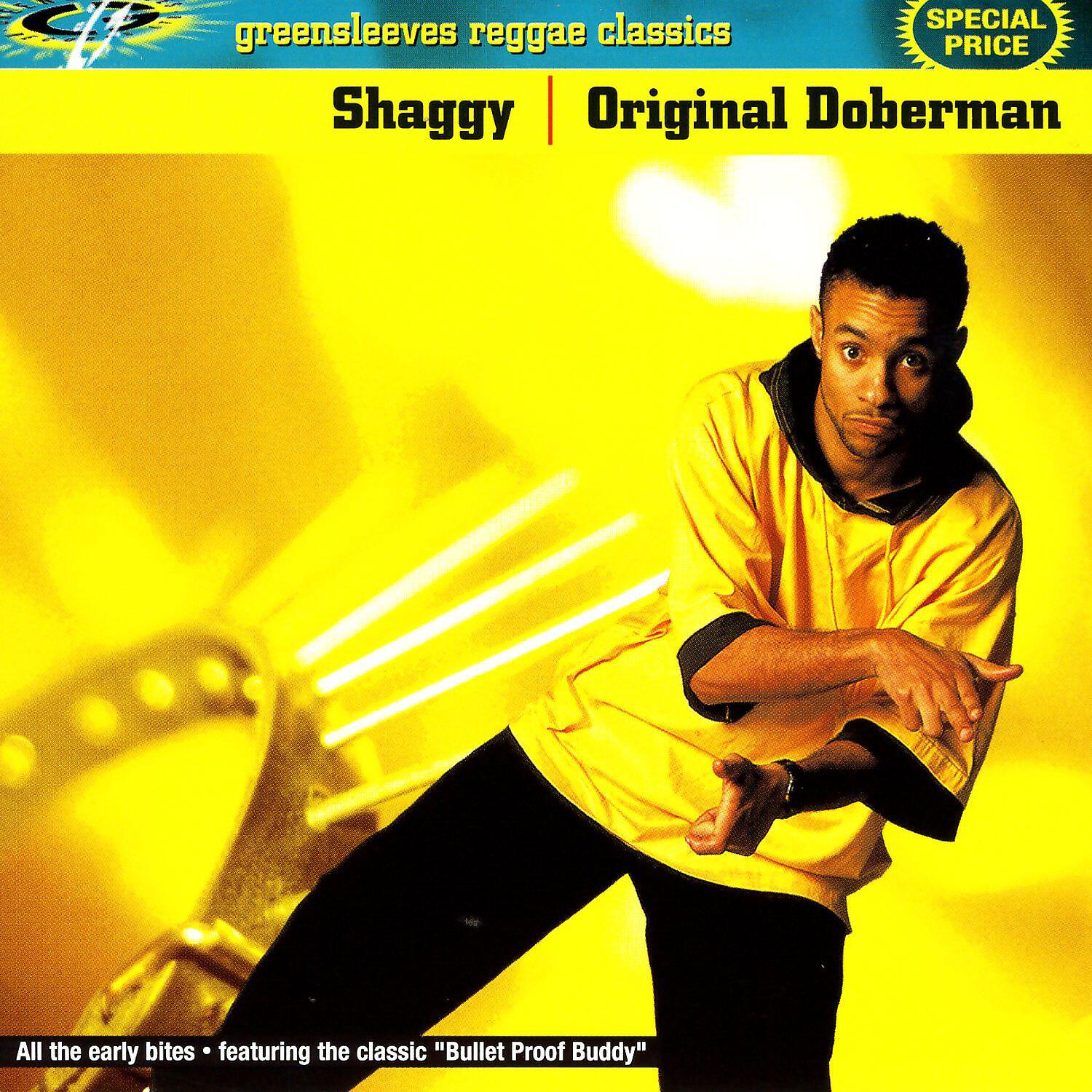 Shaggy - Bullet-Proof Buddy