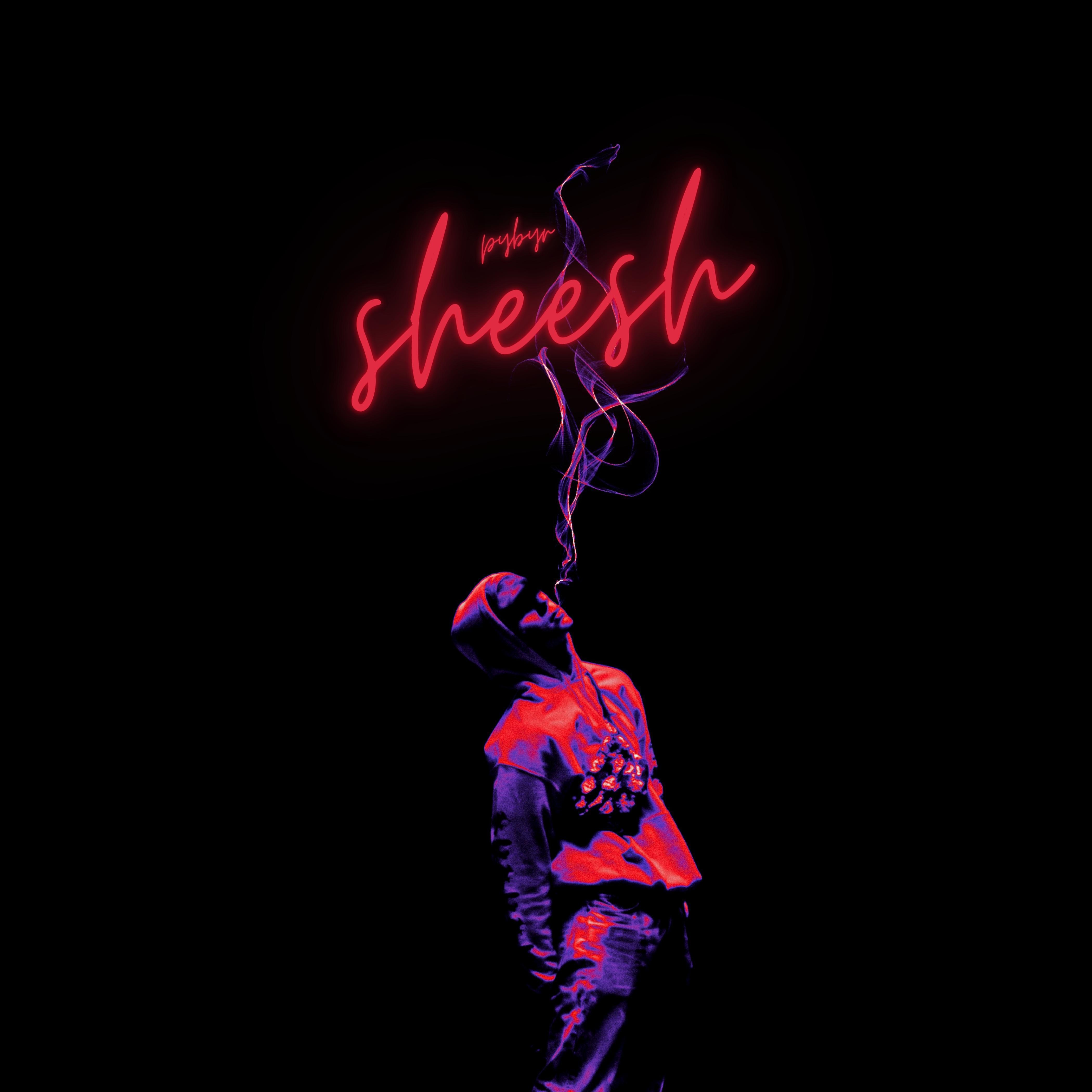 Постер альбома Sheesh