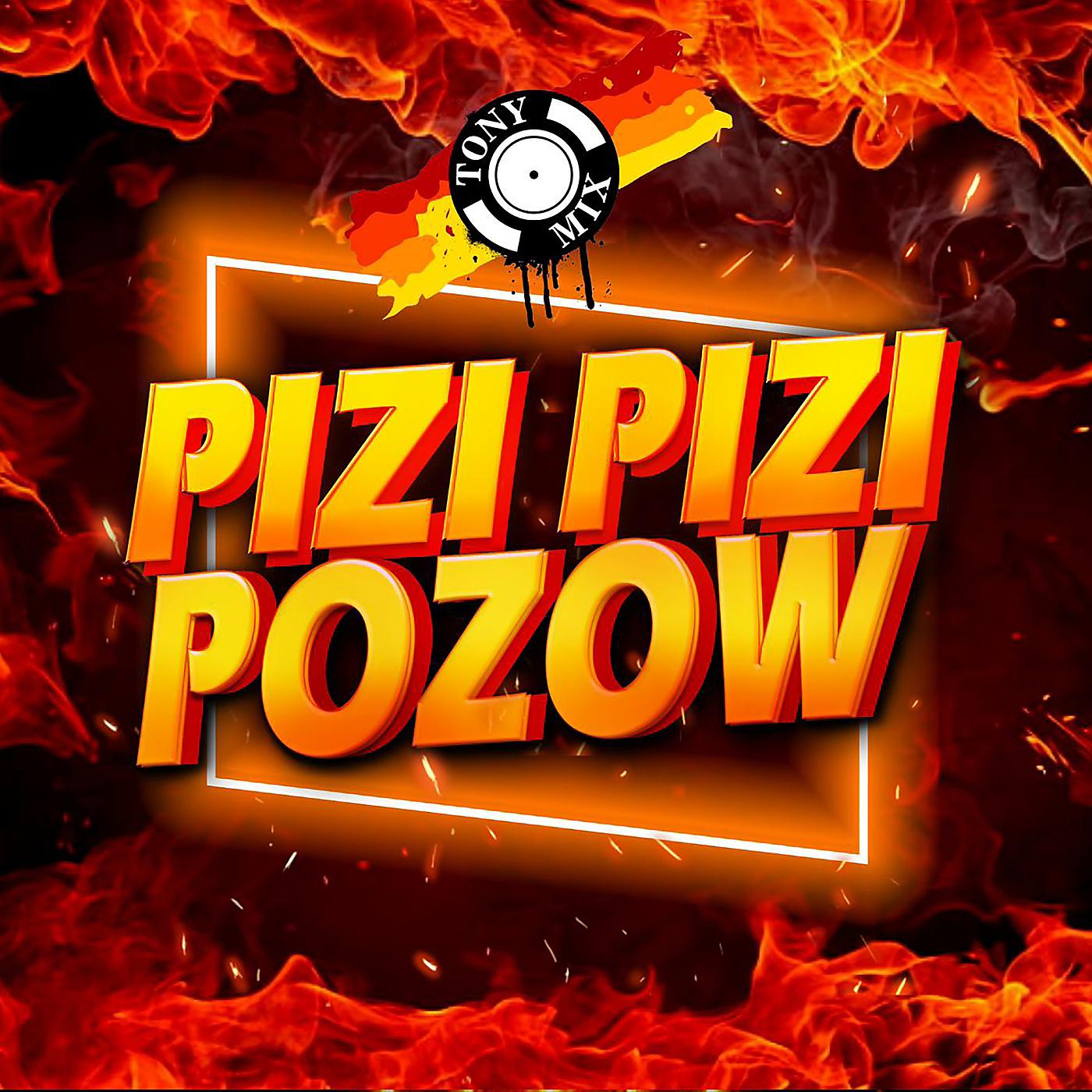 Постер альбома Pizi Pizi Pozow