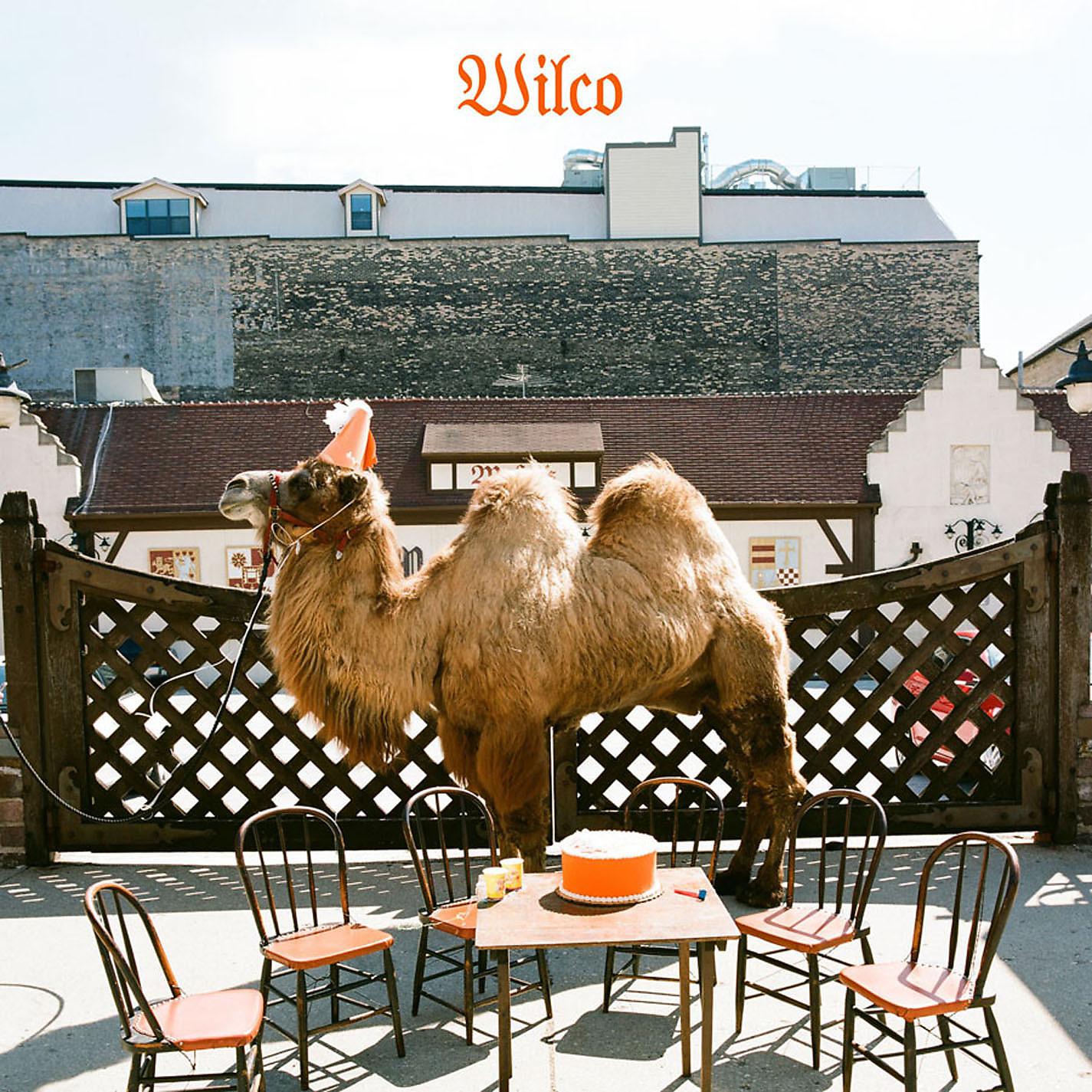 Постер альбома Wilco (The Album)