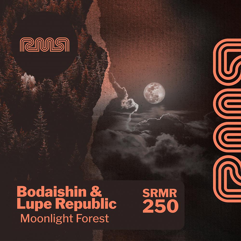 Постер альбома Moonlight Forest