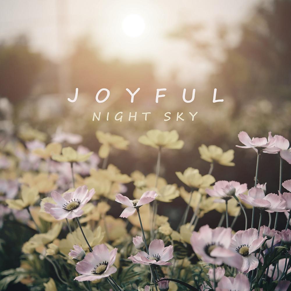 Постер альбома Joyful