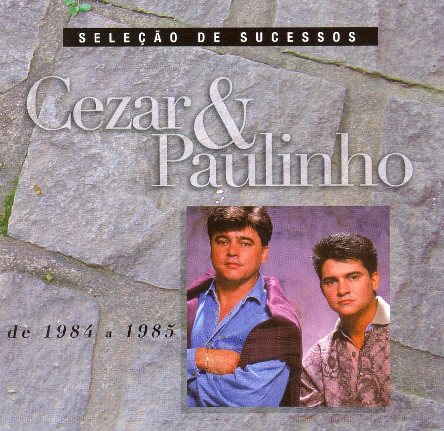 Постер альбома Seleção de Sucessos - 1984 / 1985