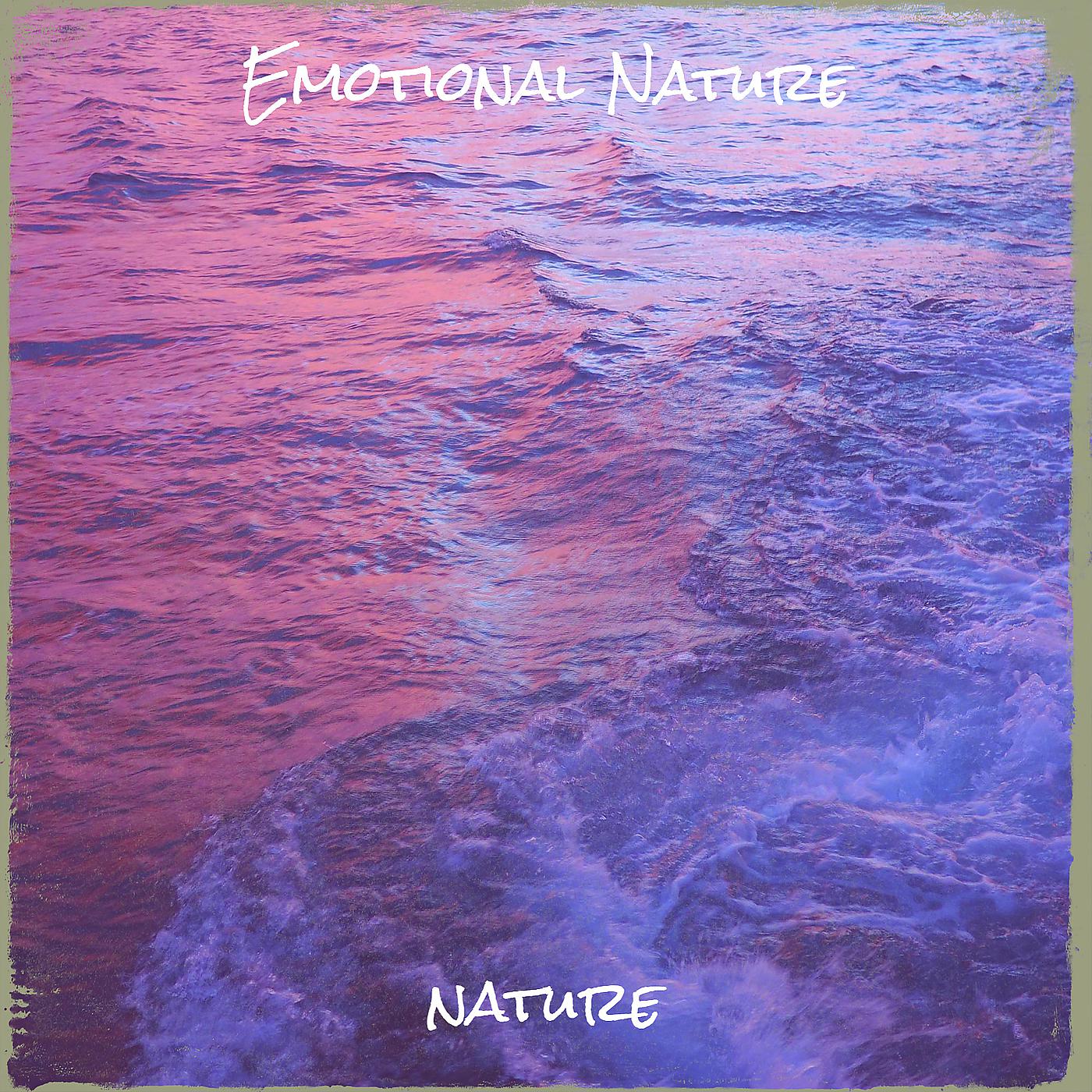 Постер альбома Emotional Nature