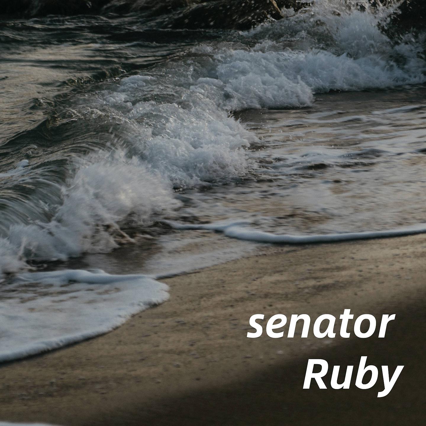 Постер альбома senator