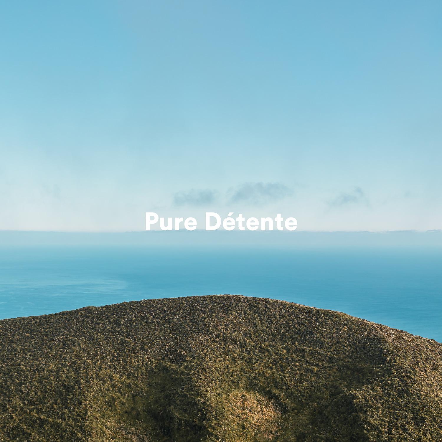 Постер альбома Pure détente