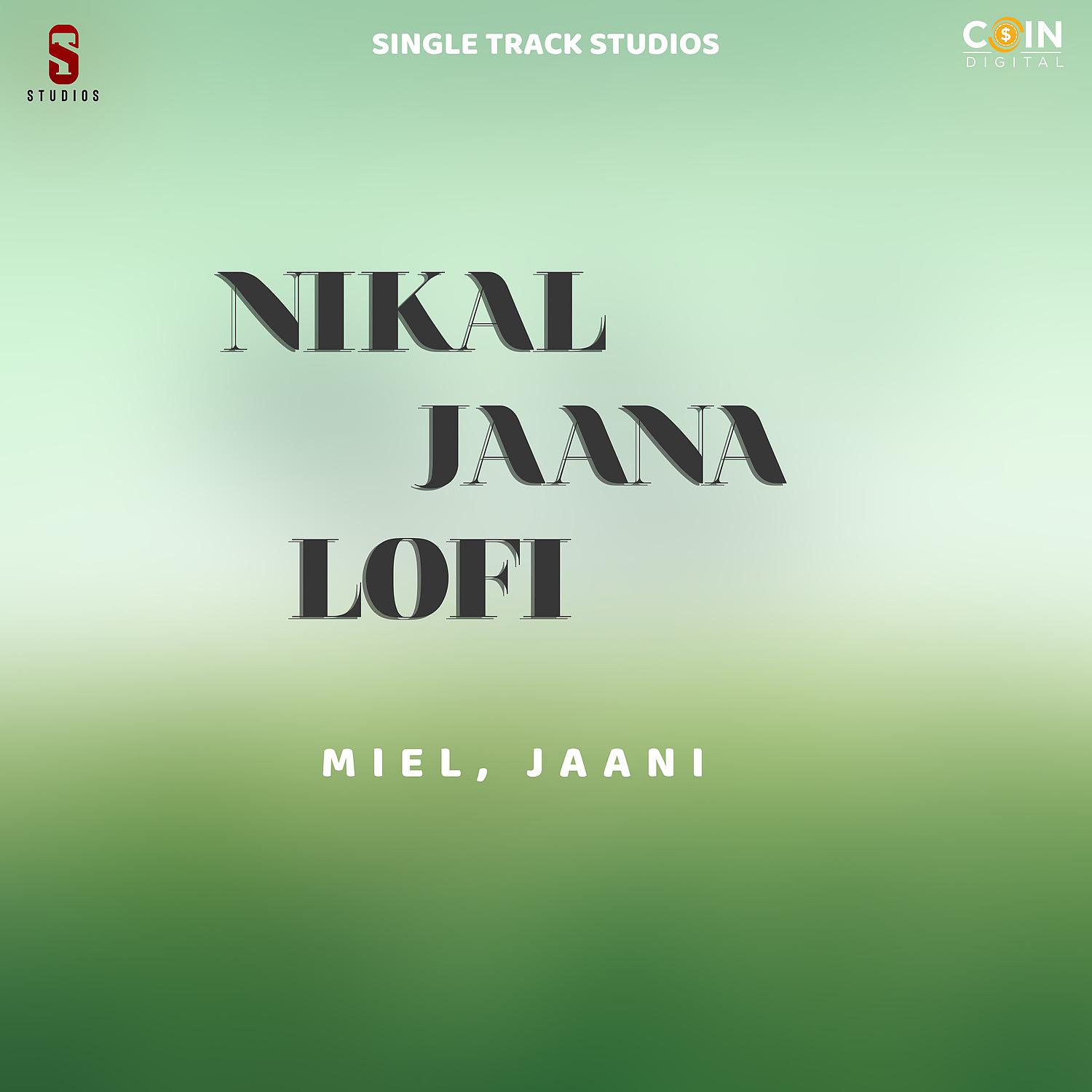 Постер альбома Nikal Jaana Lofi