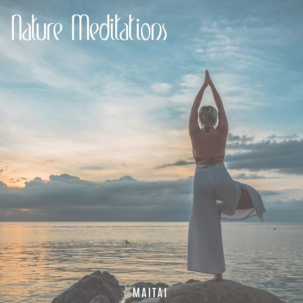 Постер альбома Nature Meditations