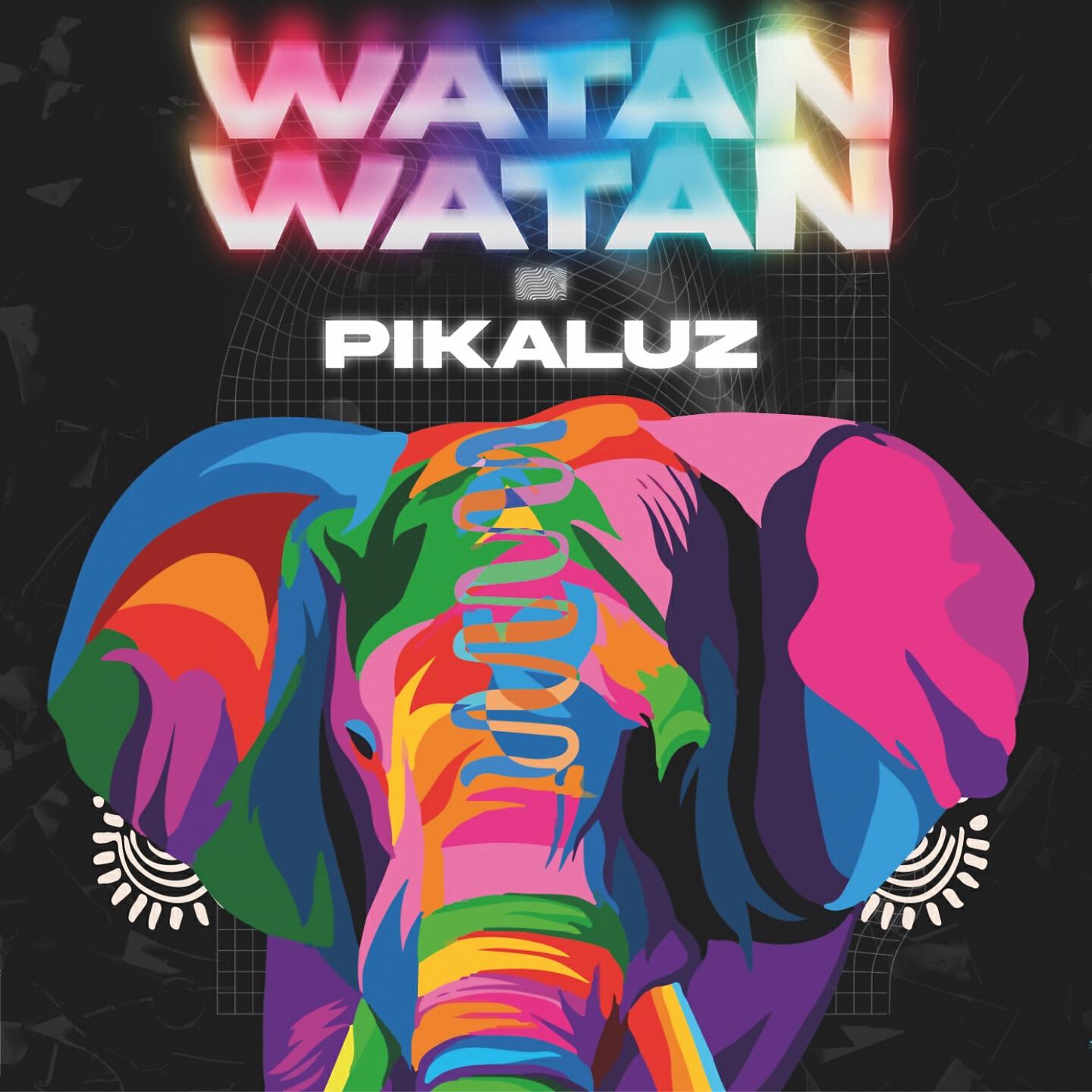 Pikaluz - Womnyao