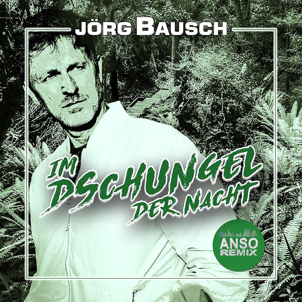 Постер альбома Im Dschungel der Nacht (Anso Remix)