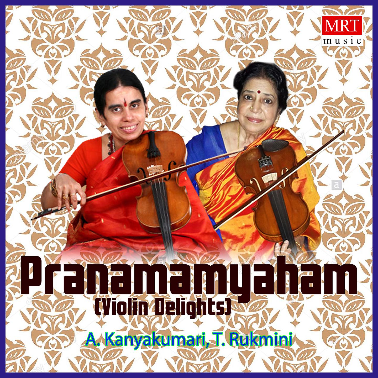 Постер альбома Pranamamyaham (Violin Delights)