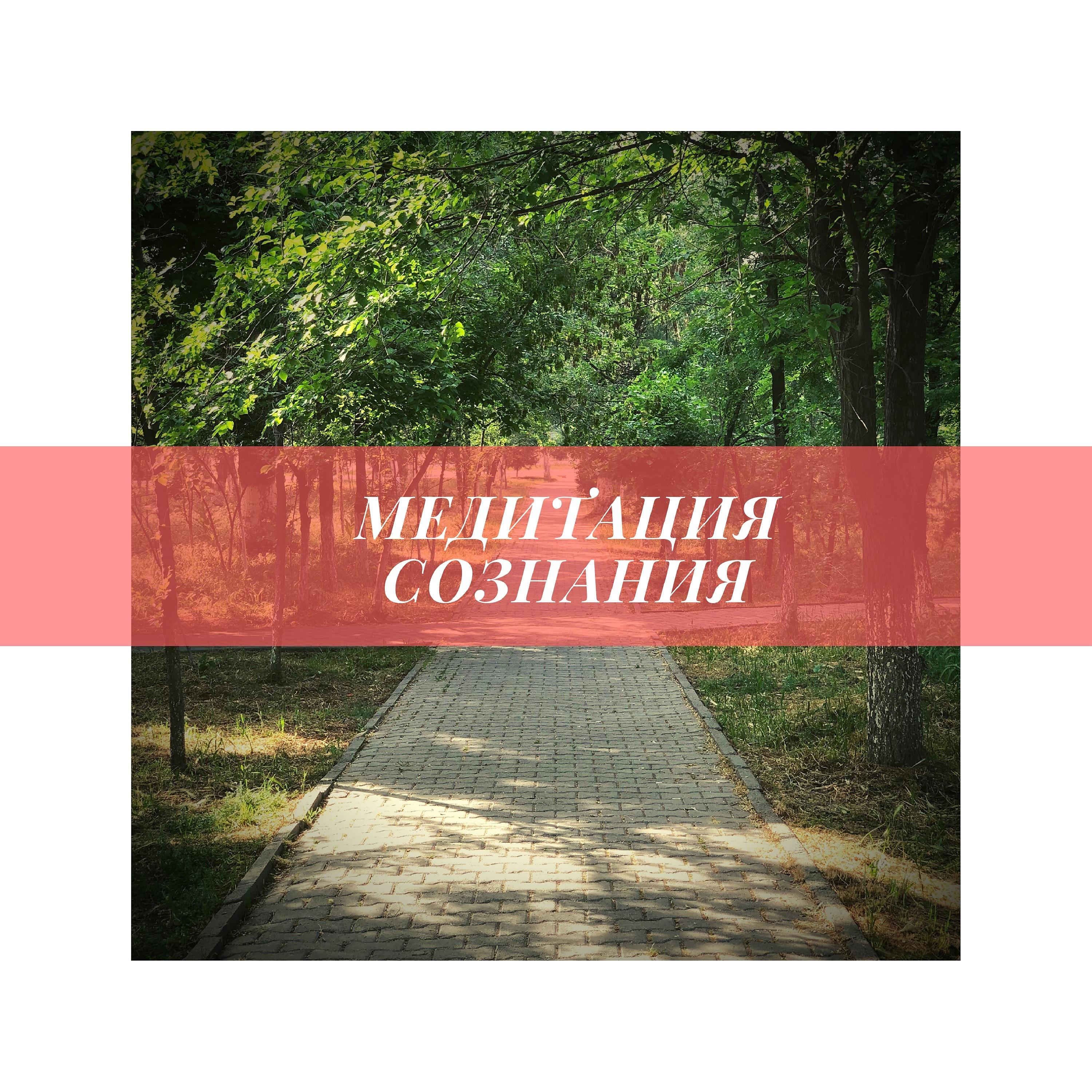 Медитация сознания - Внутренняя энергия