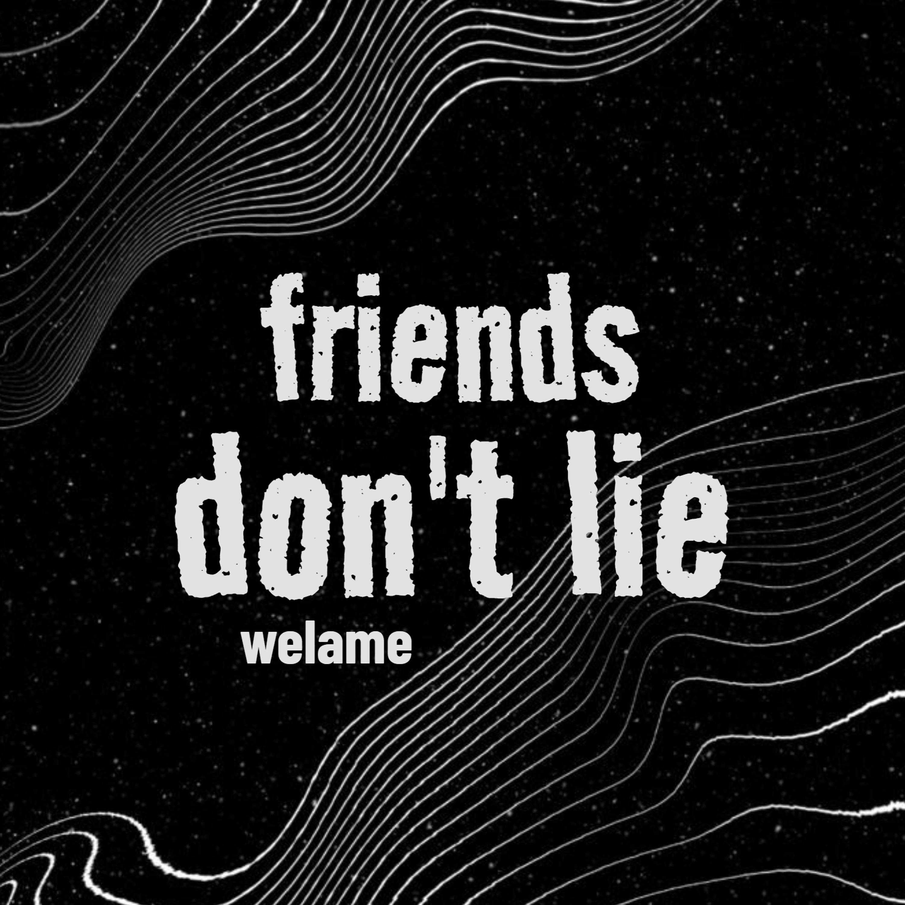 Постер альбома Friends Don't Lie