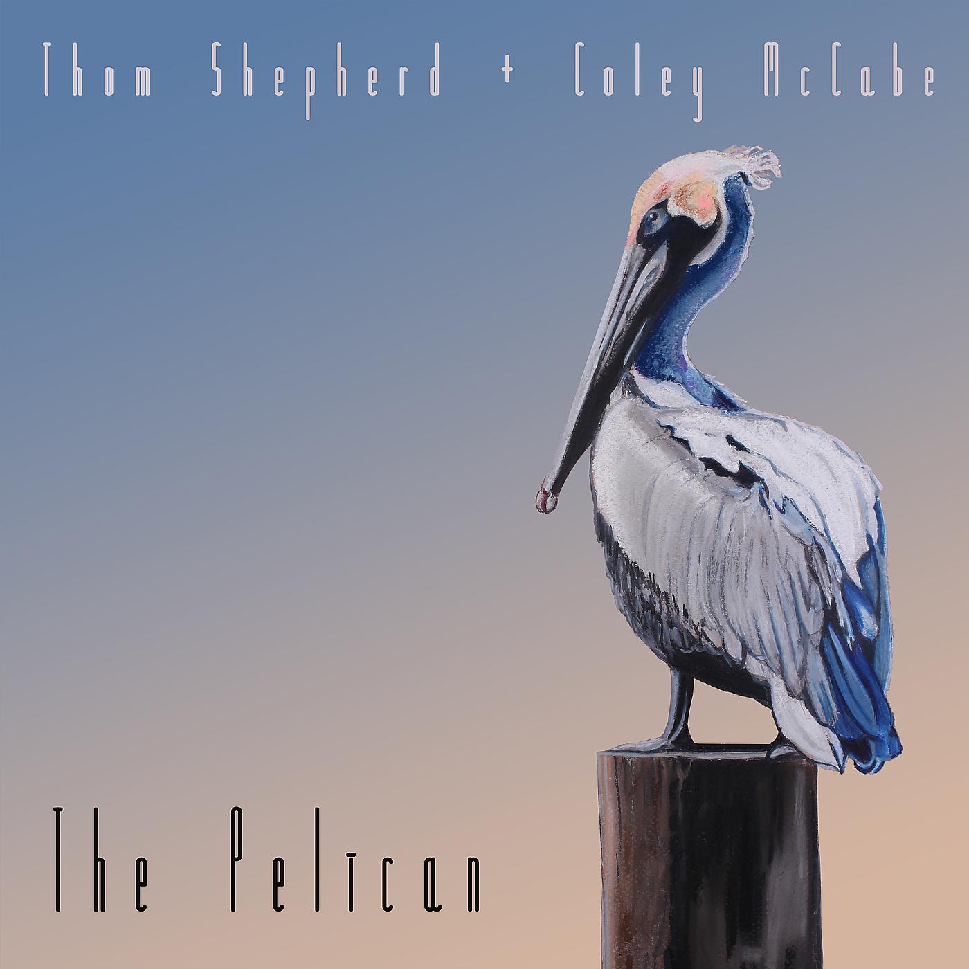 Постер альбома The Pelican