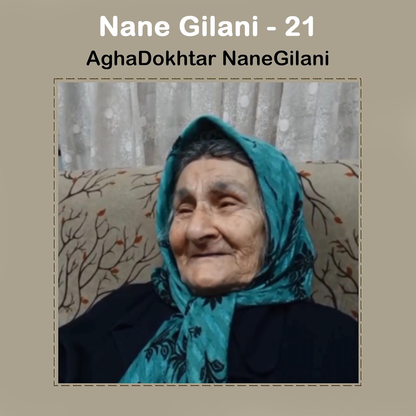 Постер альбома Nane Gilani - 21