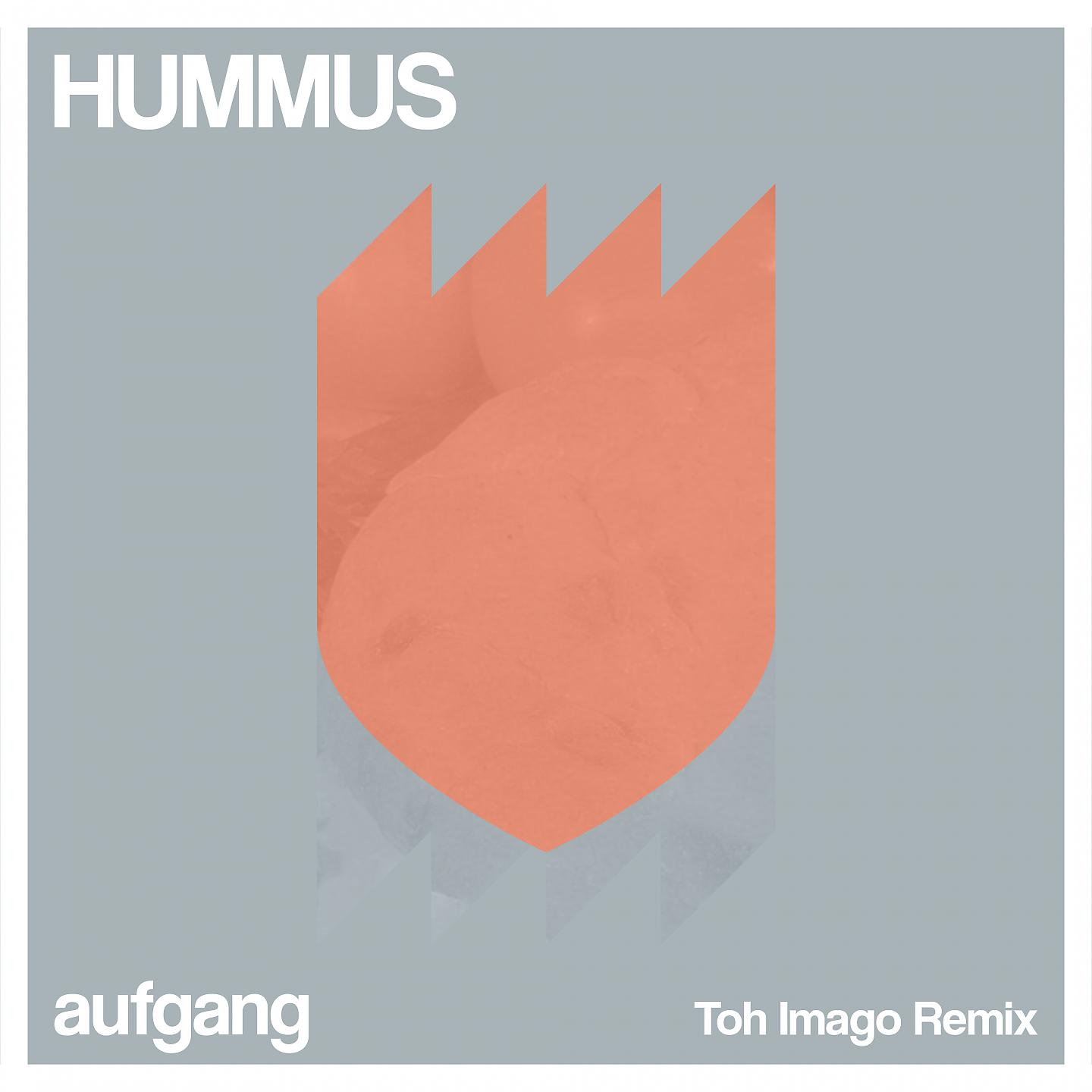 Постер альбома Hummus