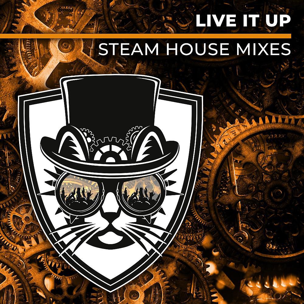 Постер альбома Live It Up (Steam House Mixes)