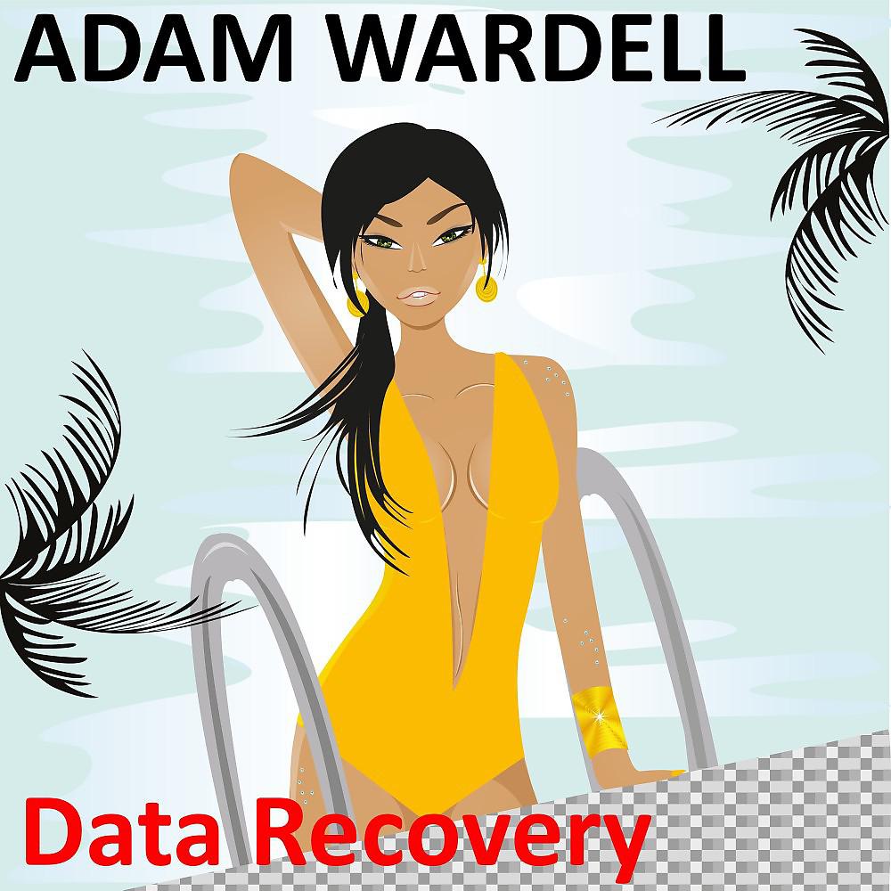 Постер альбома Data Recovery