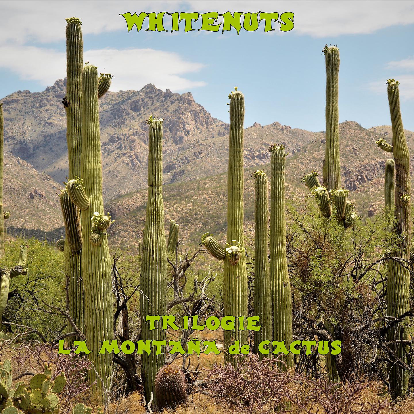 Постер альбома Trilogie la montaña de cactus