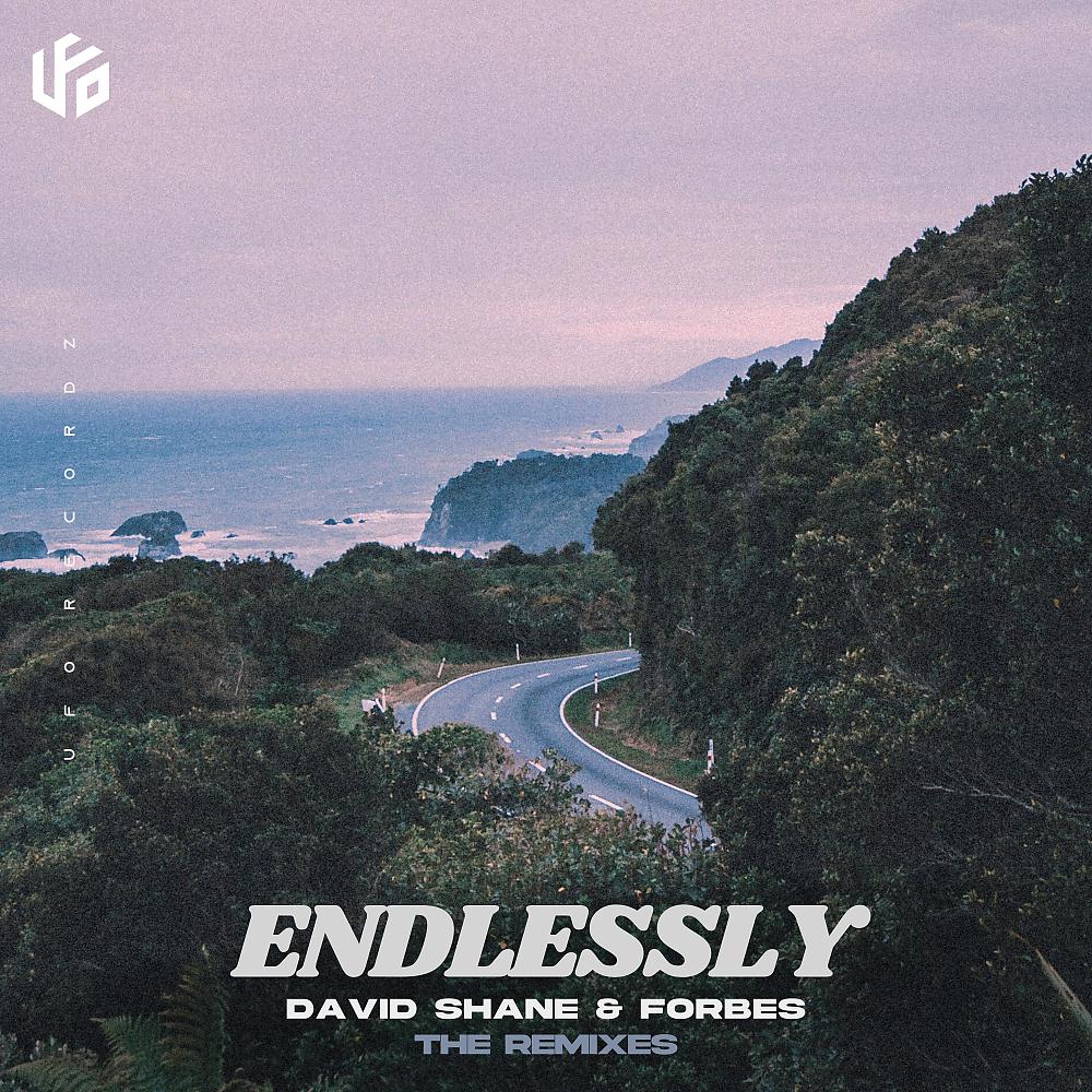 Постер альбома Endlessly (The Remixes)