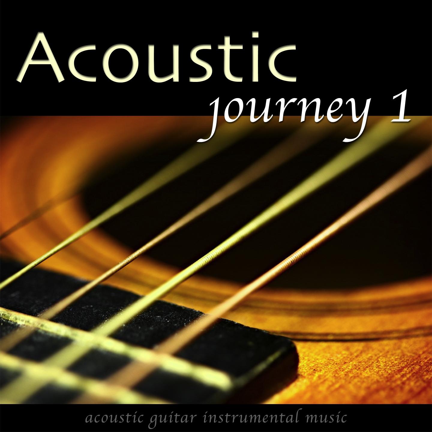 Постер альбома Acoustic Journey, Vol. 1