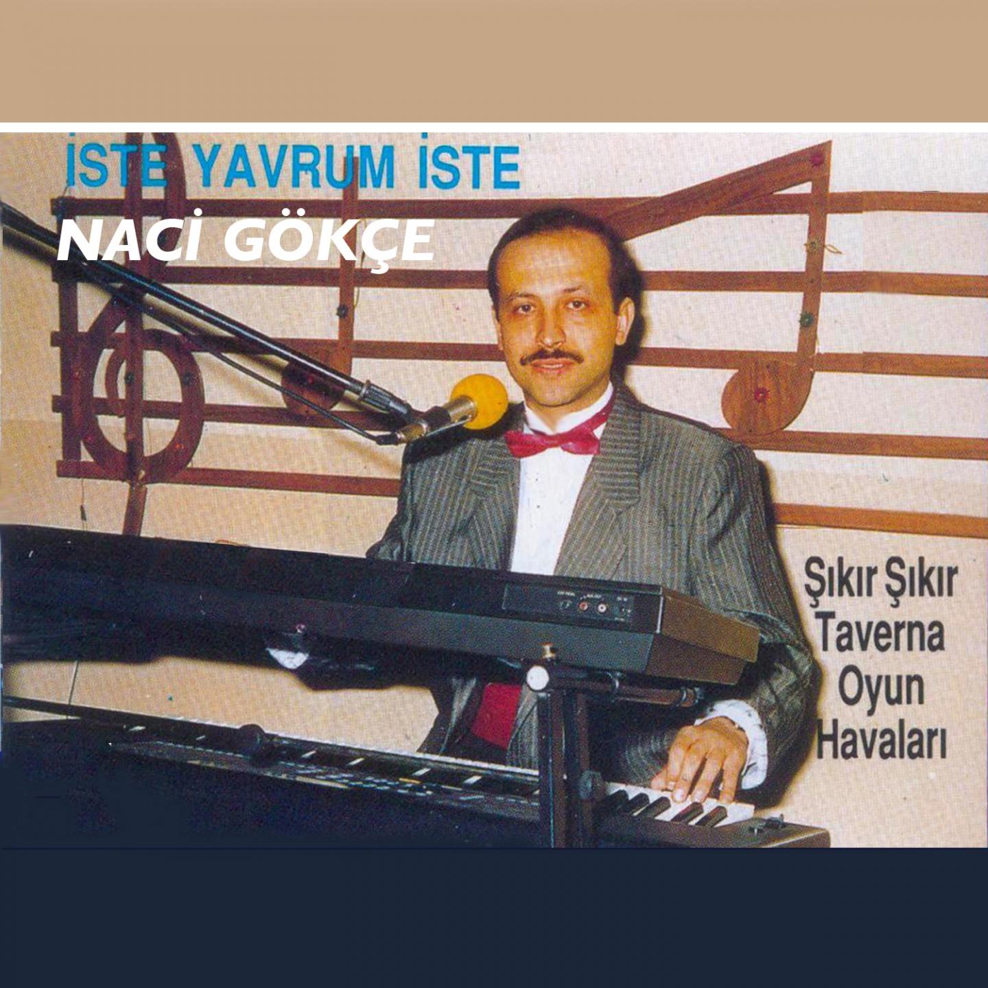 Постер альбома İste Yavrum İste