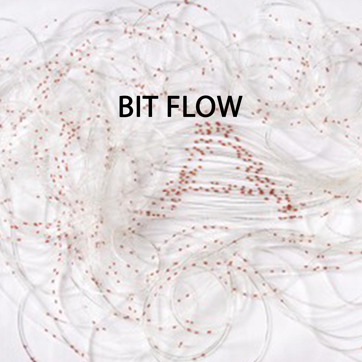 Постер альбома Bit Flow
