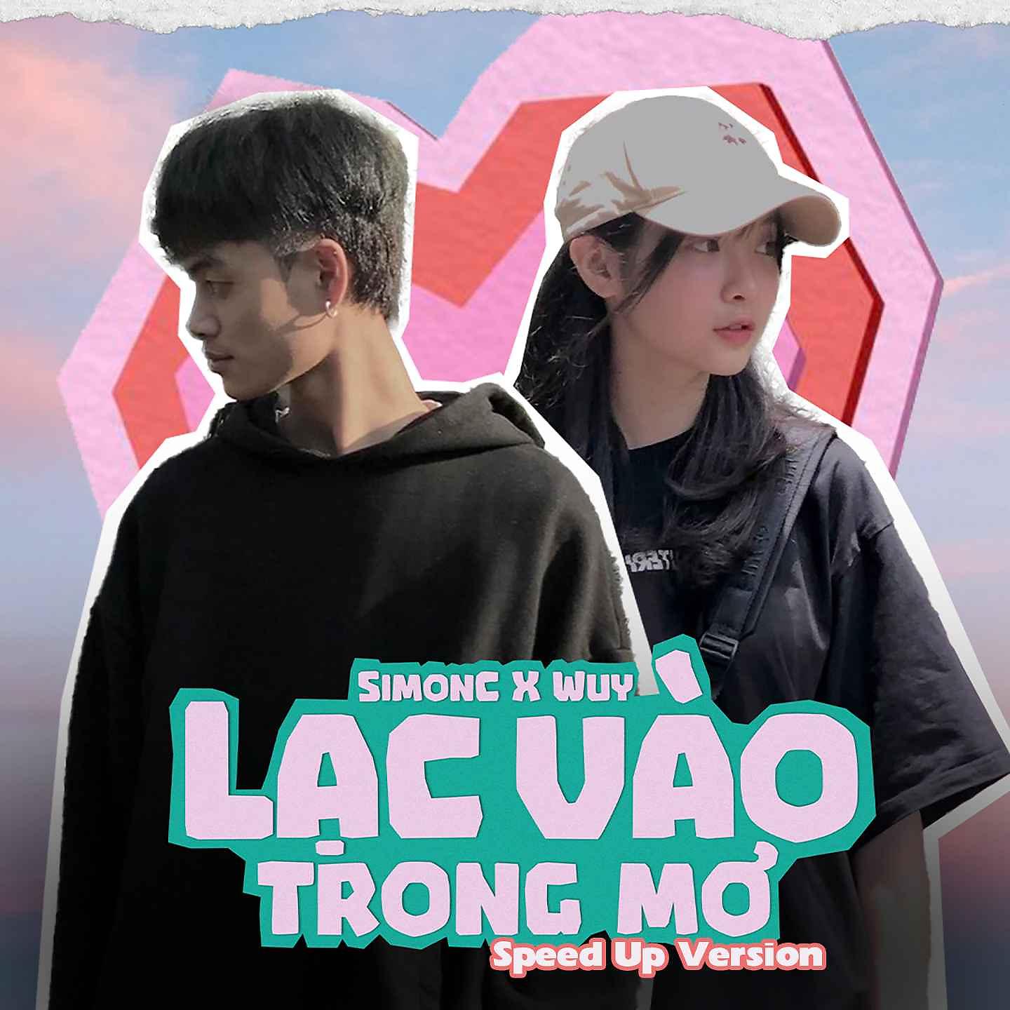 Постер альбома Lạc Vào Trong Mơ
