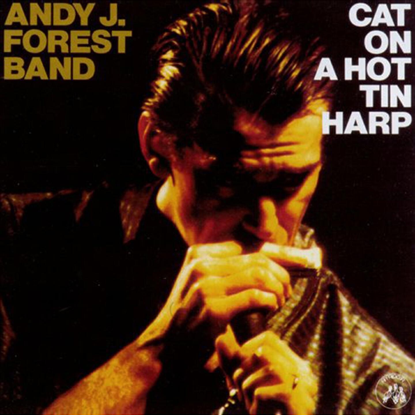 Andy J. Forest Band - My Baby's Crazy