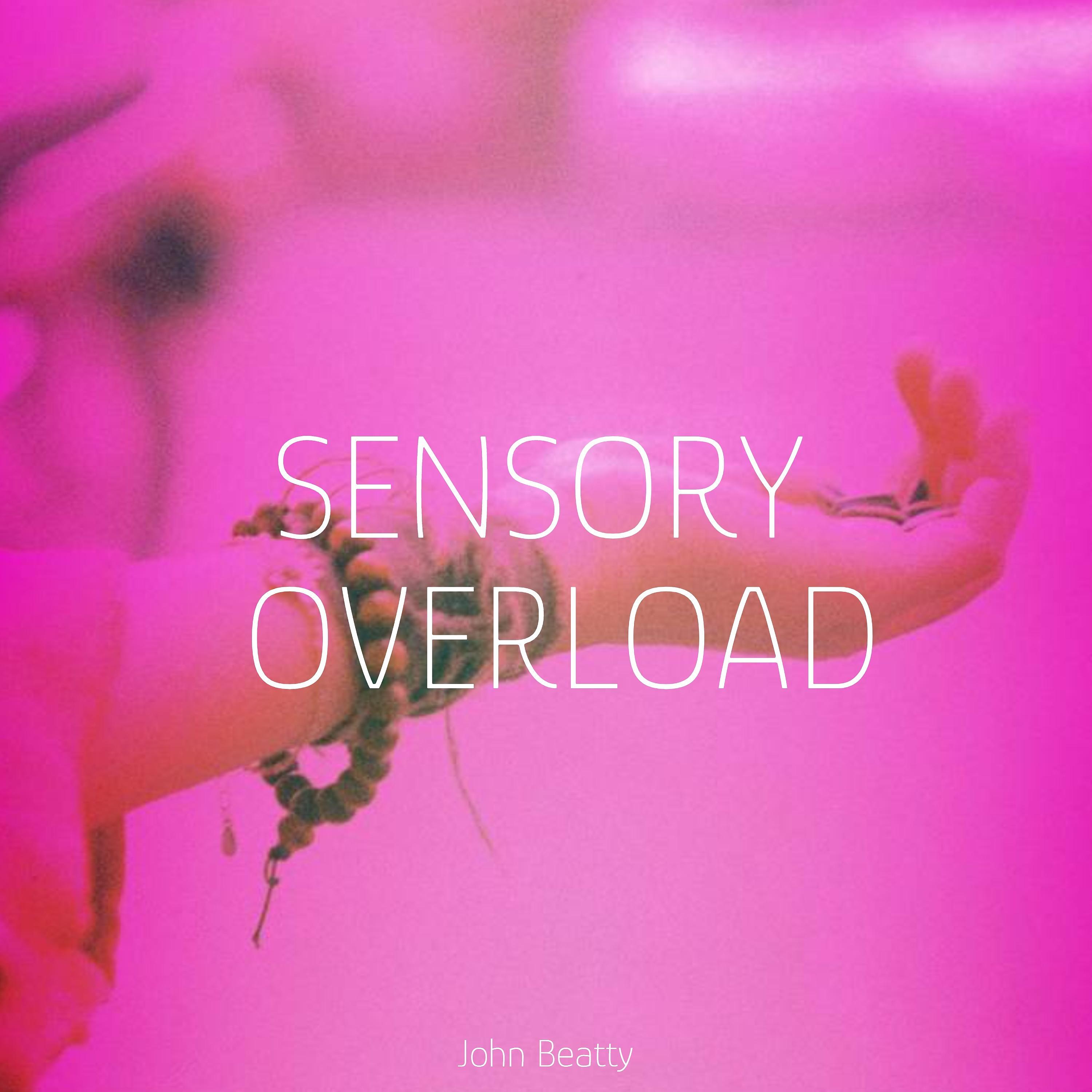 Постер альбома Sensory Overload