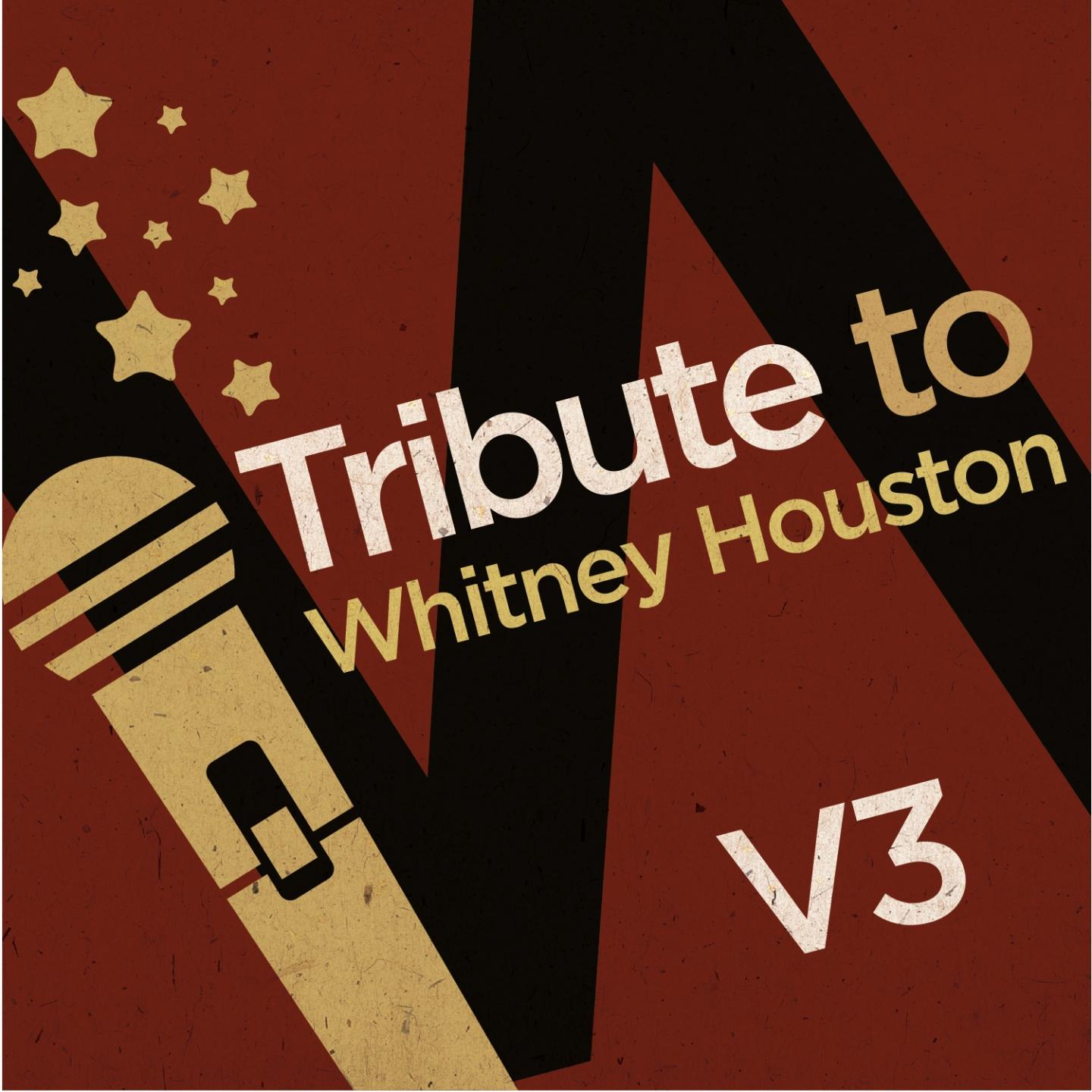 Постер альбома Tribute to Whitney Houston, Vol. 3