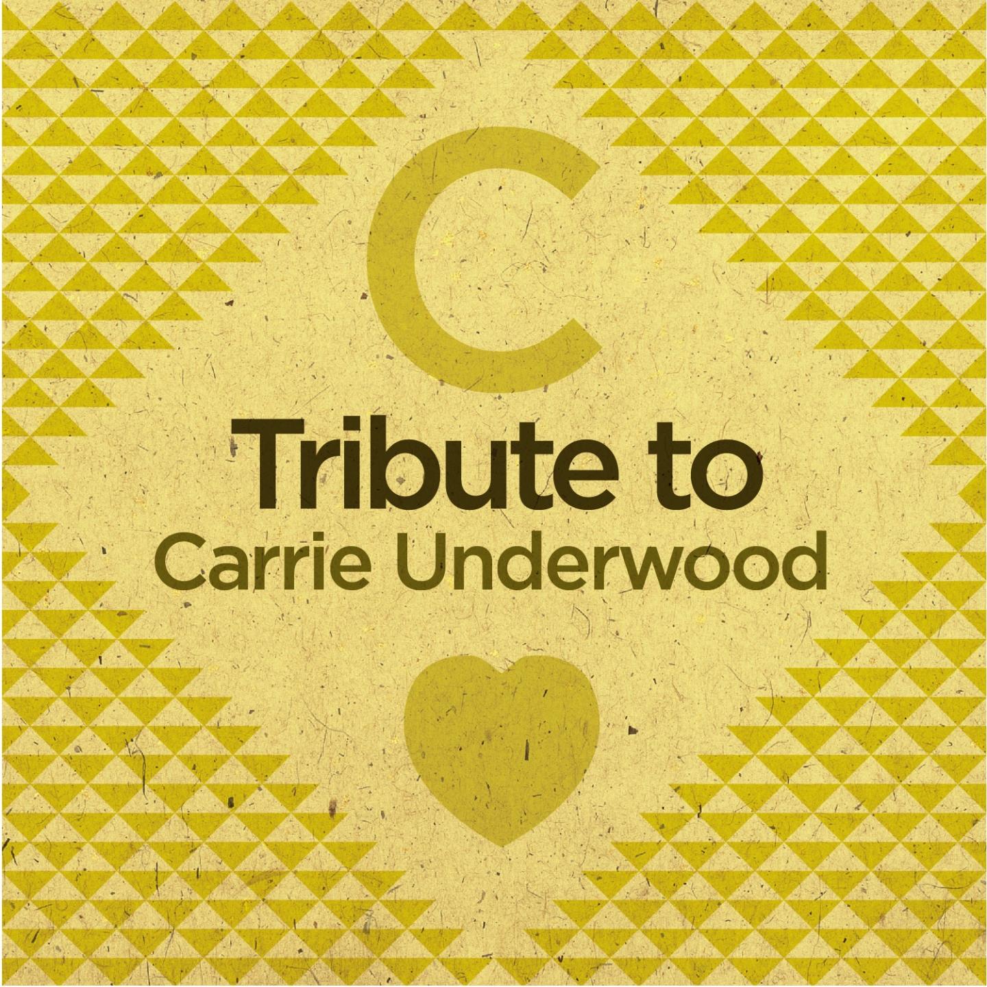 Постер альбома A Tribute to Carrie Underwood