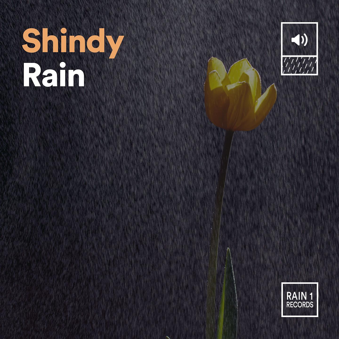 Постер альбома Shindy Rain