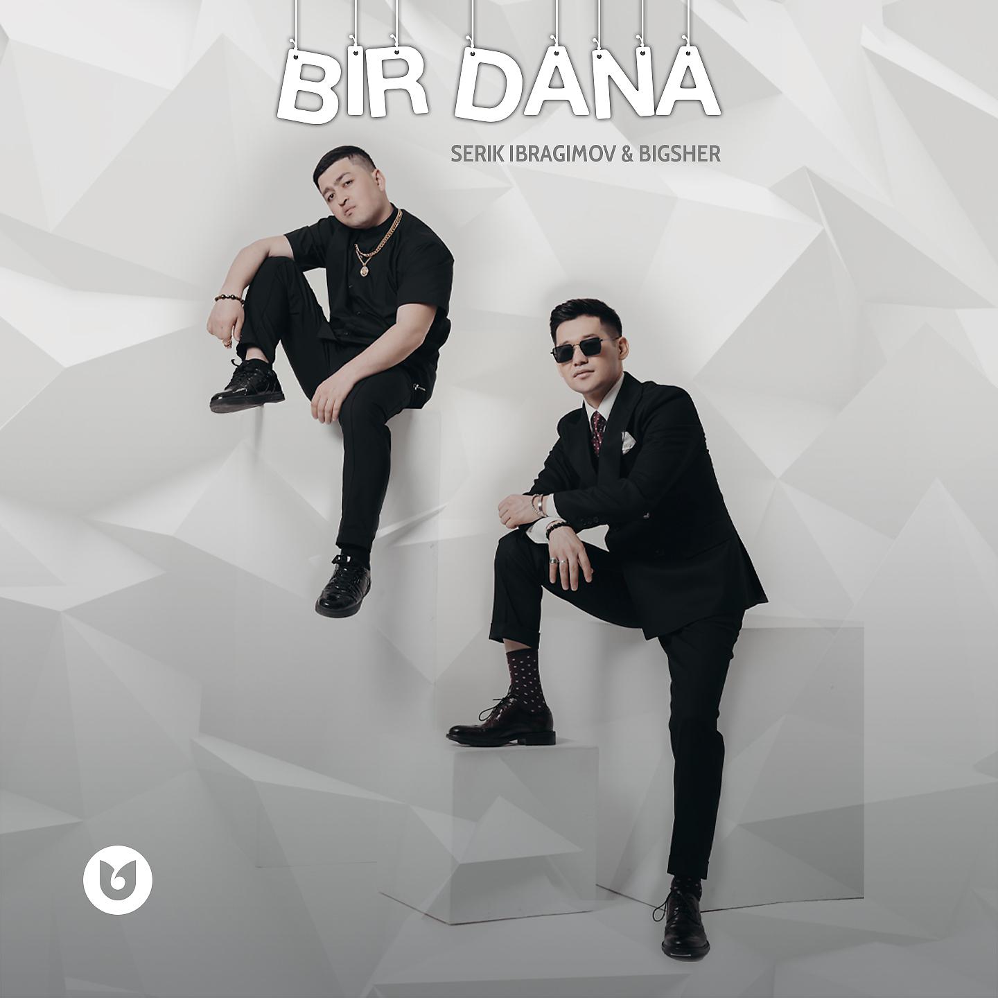 Постер альбома Bir Dana