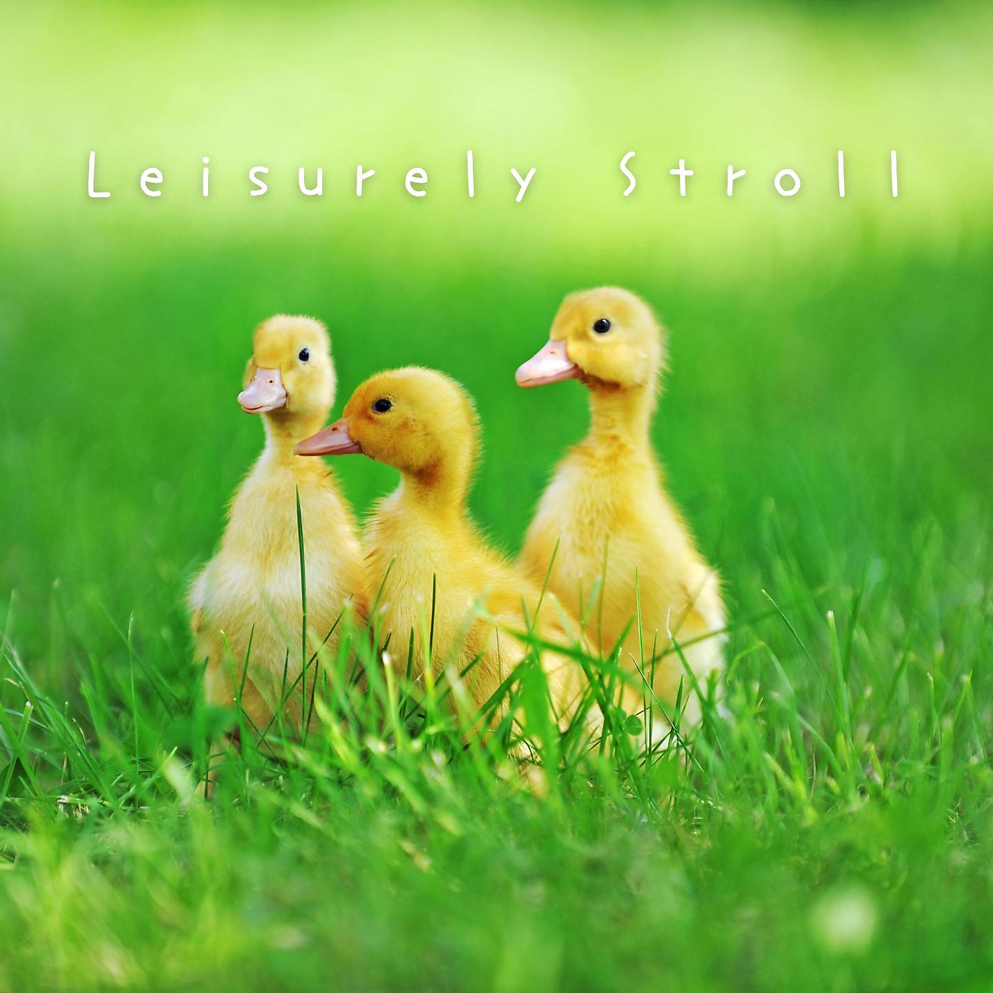Постер альбома Leisurely Stroll