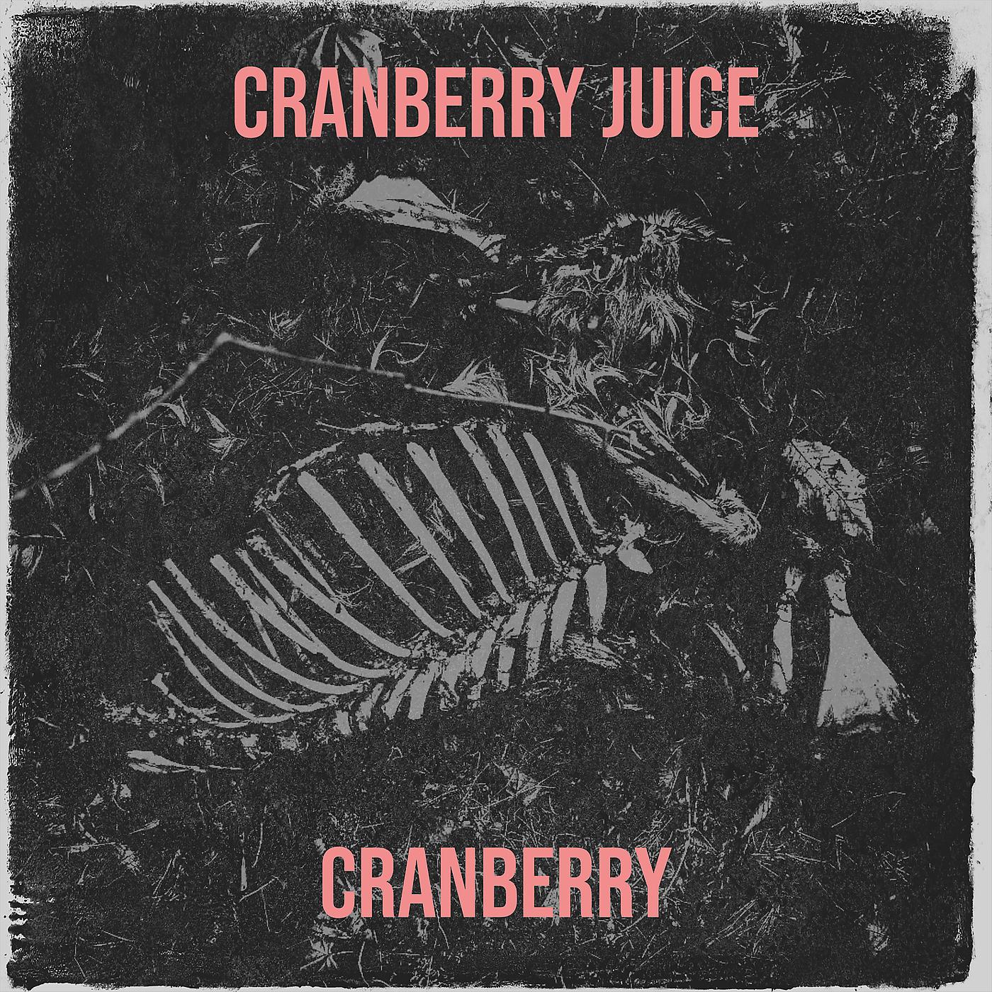 Постер альбома Cranberry Juice